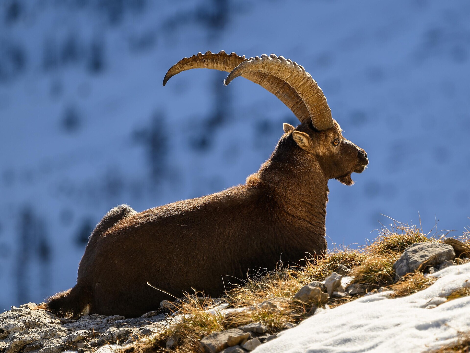 DOLOMITI – Patrimonio Mondiale dell’UNESCO: Multivisione con Valentin Pardeller - Regione dolomitica Val d'Ega - #2 - suedtirol.info