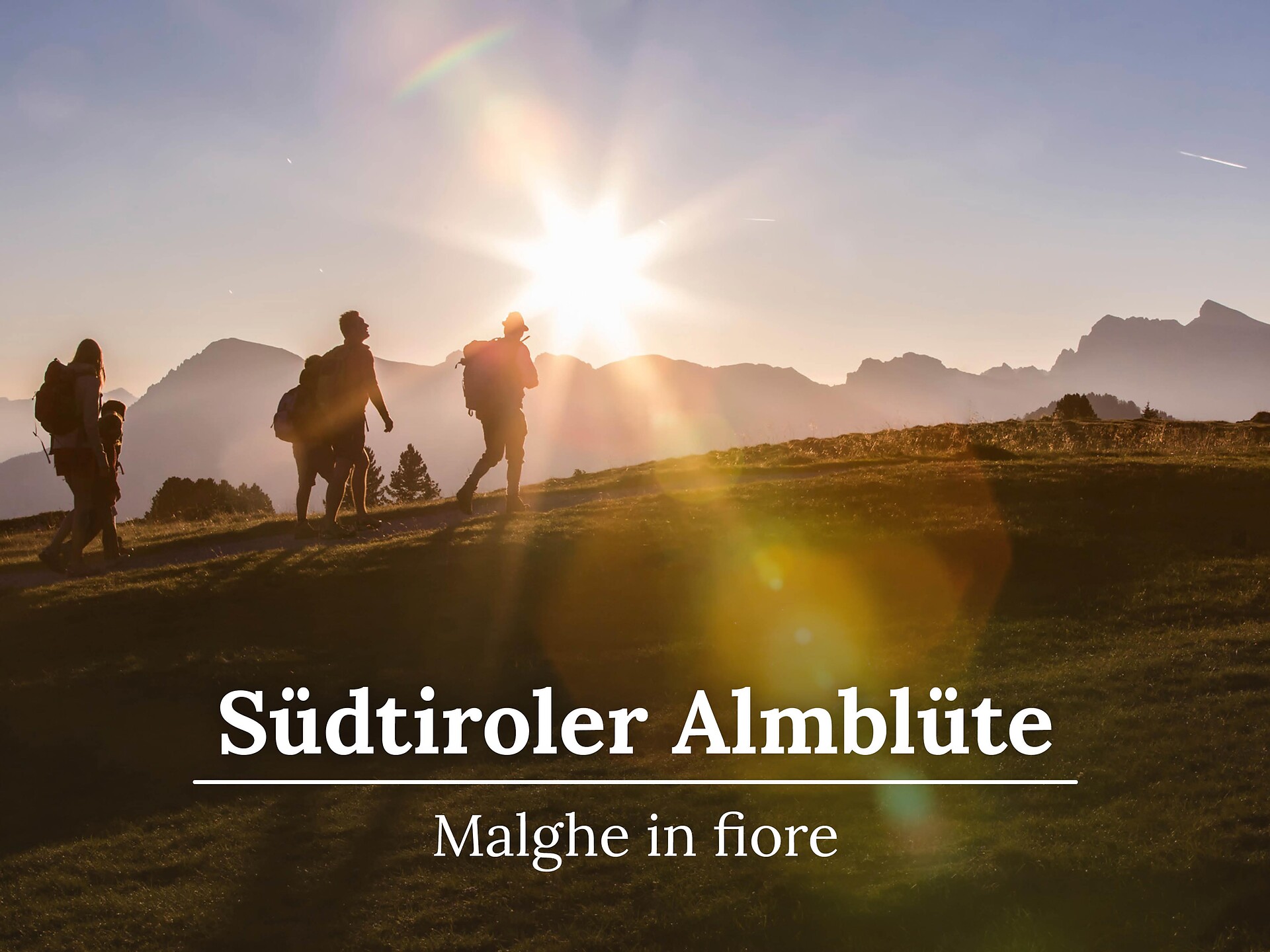 MALGHE IN FIORE: Camminata mattutina con colazione alla montagna a Terento Terento 1 suedtirol.info