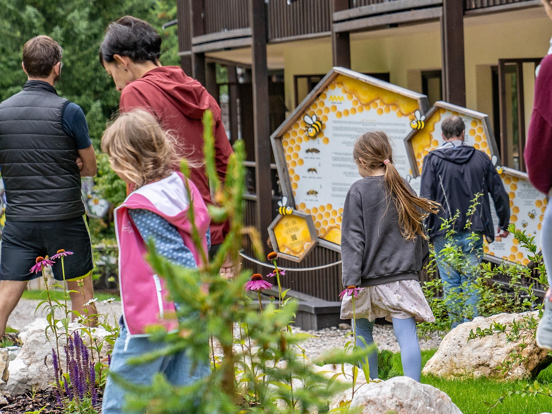 Movimënt dles ês - Die fantastische Welt der Bienen entdecken - Dolomitenregion Alta Badia - #2 - suedtirol.info
