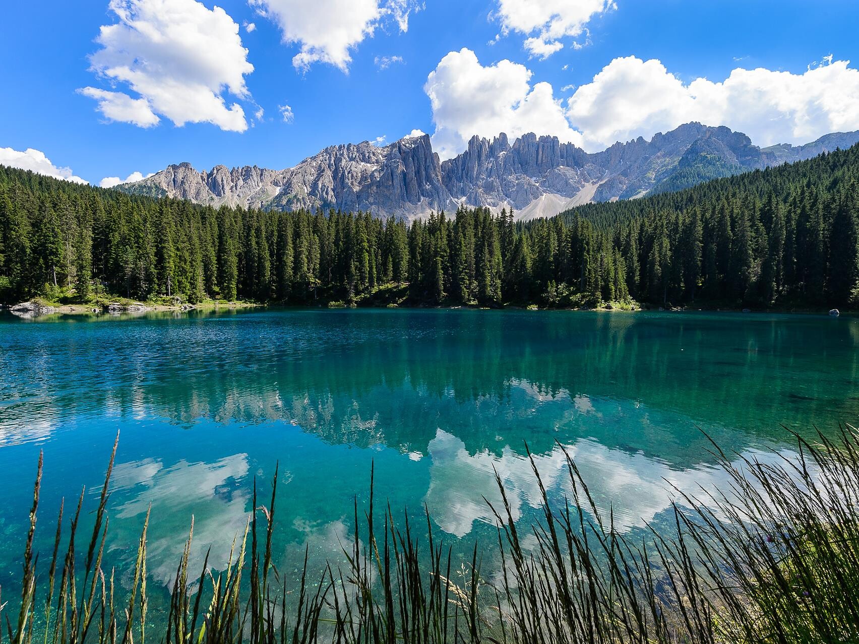 Multivisione: Latemar – bellezza selvaggia - Regione dolomitica Val d'Ega - #1 - suedtirol.info