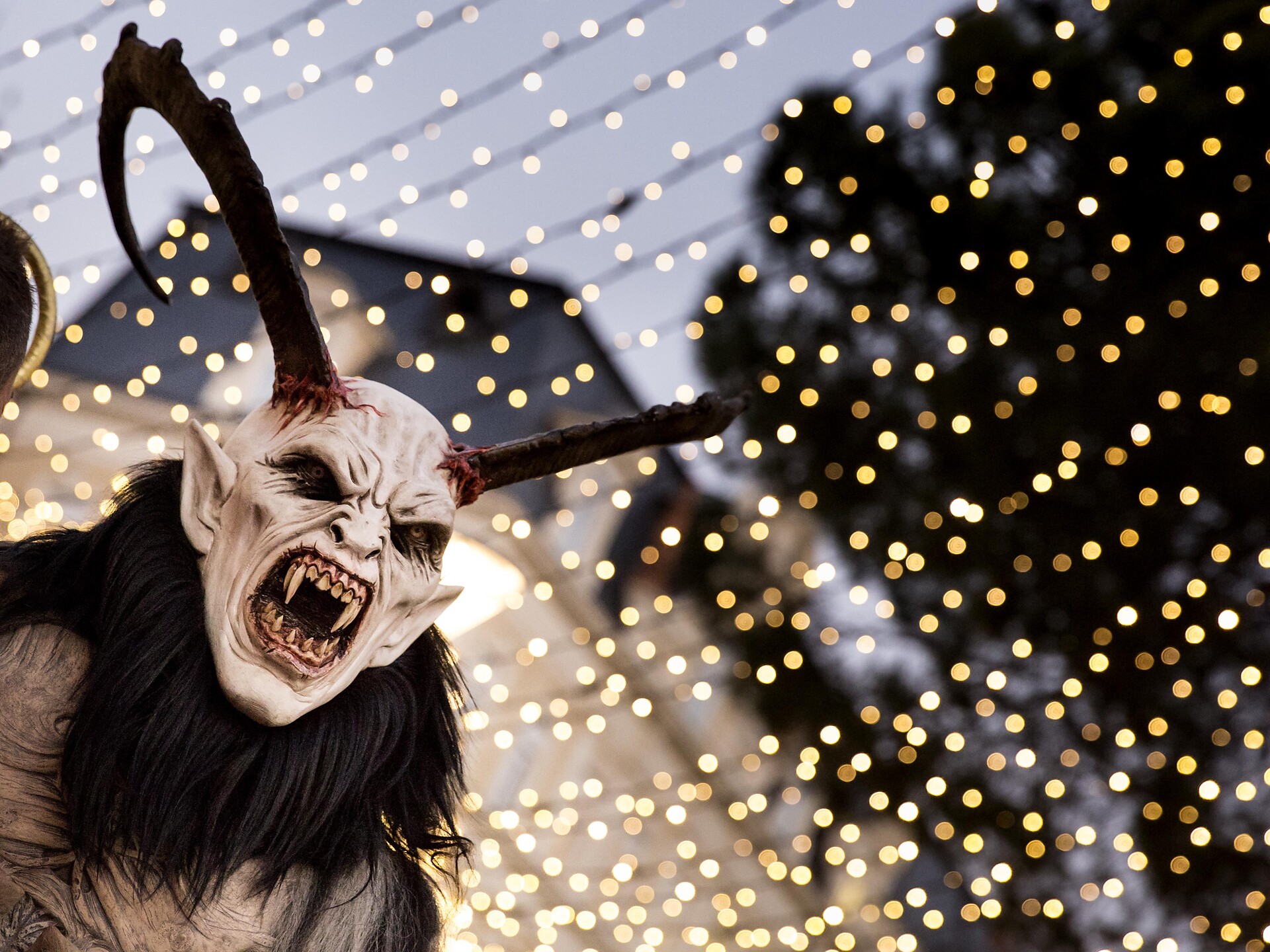 Christmas Market Merano: Krampus! - Meran/Merano and environs - #1 - suedtirol.info