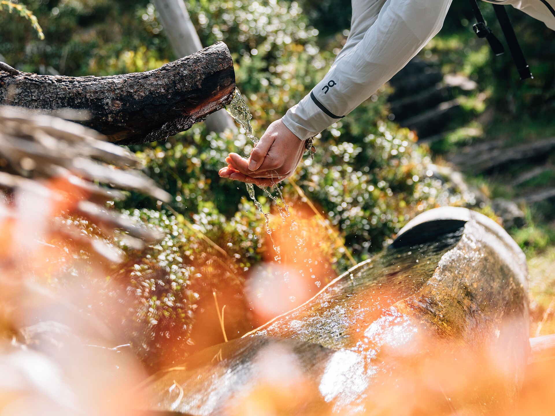 Mit Arnold durch die Natur (Psairer Herbst) - Meran und Umgebung - #3 - suedtirol.info