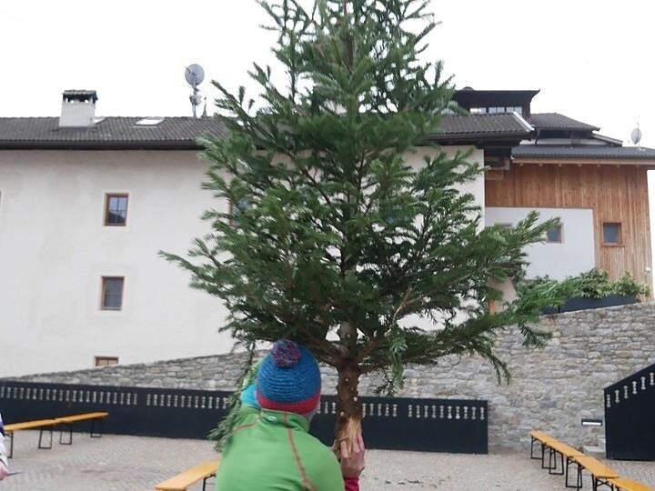 Mårtiner Sternstundn · Natale d'incanto: Lancio dell’albero di Natale - Merano e dintorni - #1 - suedtirol.info