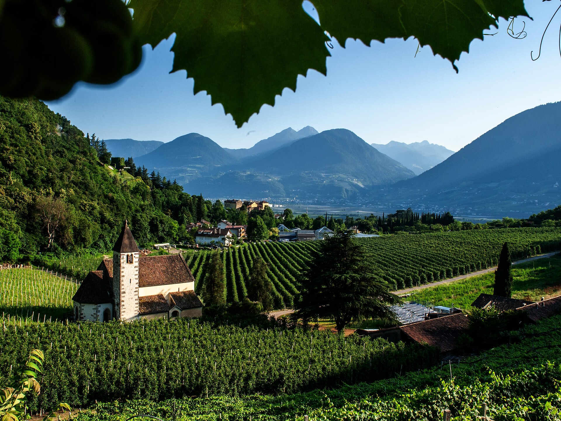 Meraner Festspiele 2026 – Uraufführung „Das Schweigen der Stadt“ - Meran und Umgebung - #3 - suedtirol.info