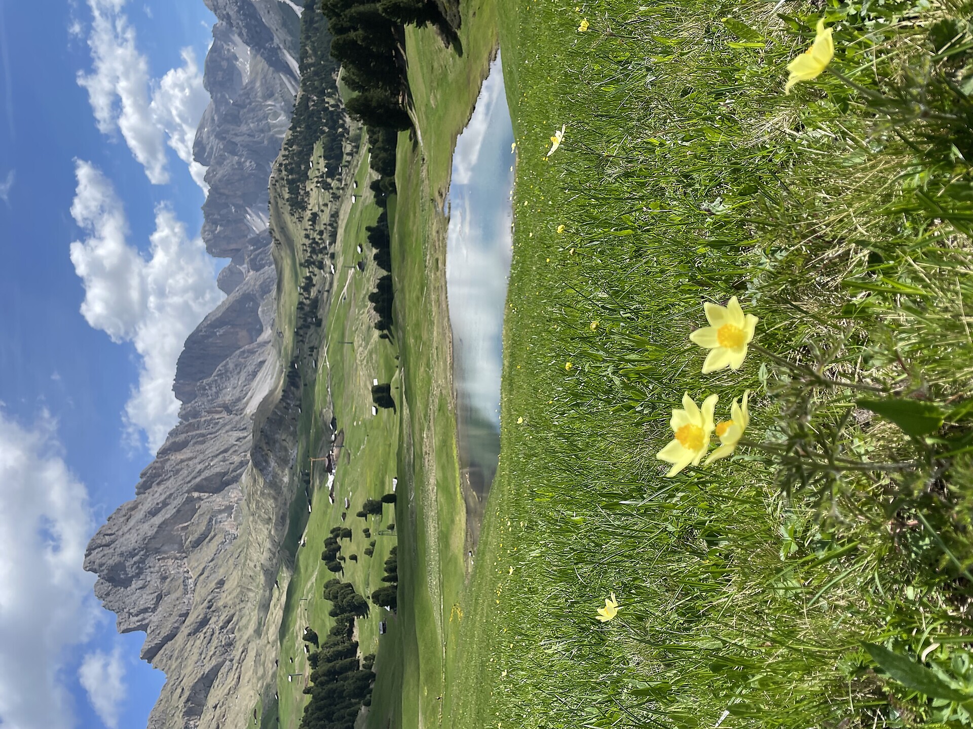 Mercoledì in tour: Giro delle malghe sul Monte Regolo - Regione dolomitica Val d'Ega - #1 - suedtirol.info