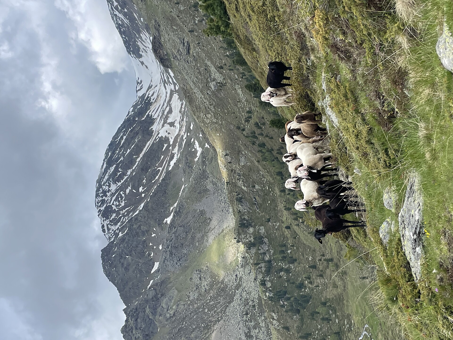 Mercoledì in tour: Val d'Ultimo - Regione dolomitica Val d'Ega - #2 - suedtirol.info