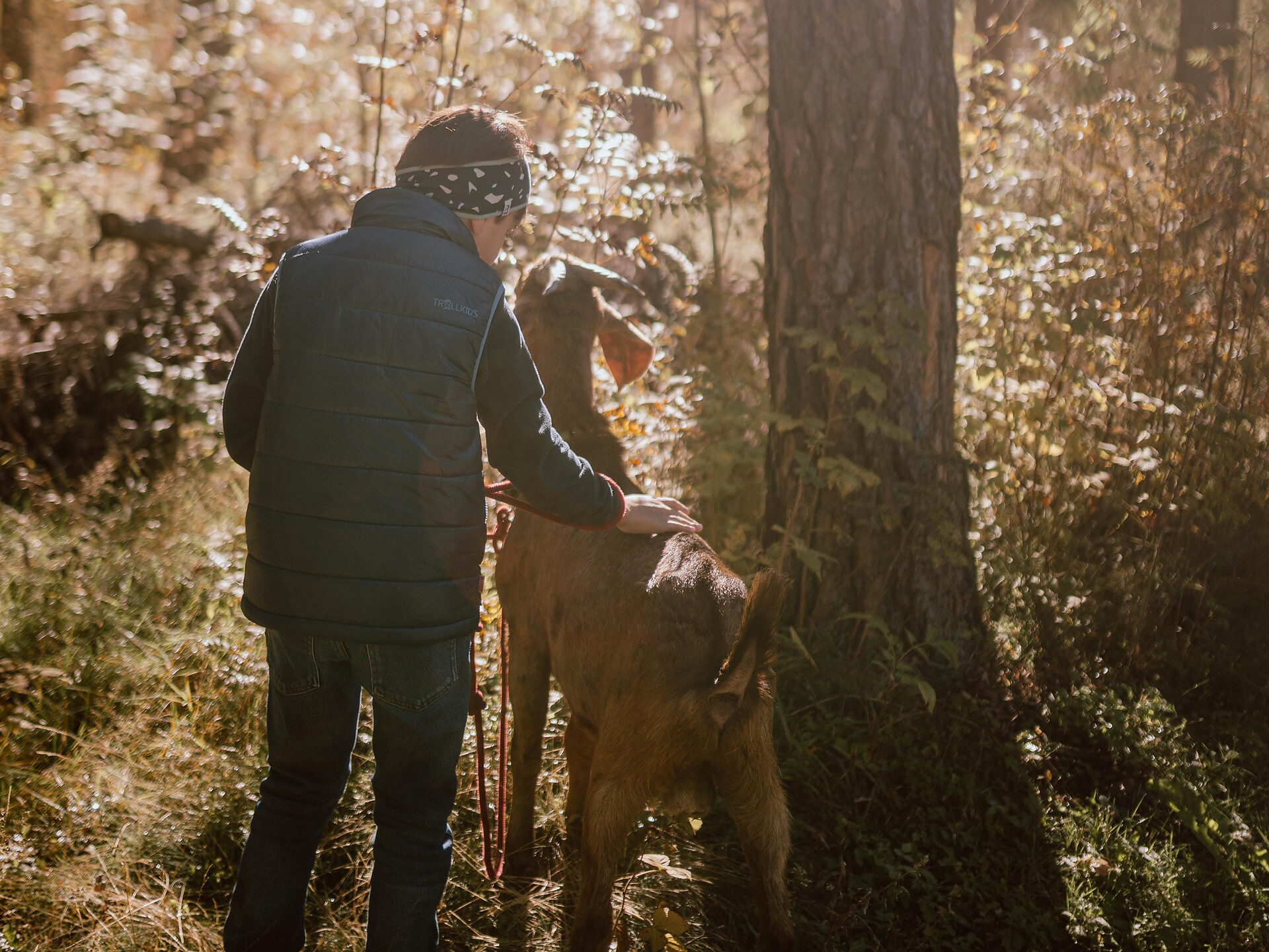 Con la capra attraverso la valle - Regione dolomitica Plan de Corones - #1 - suedtirol.info