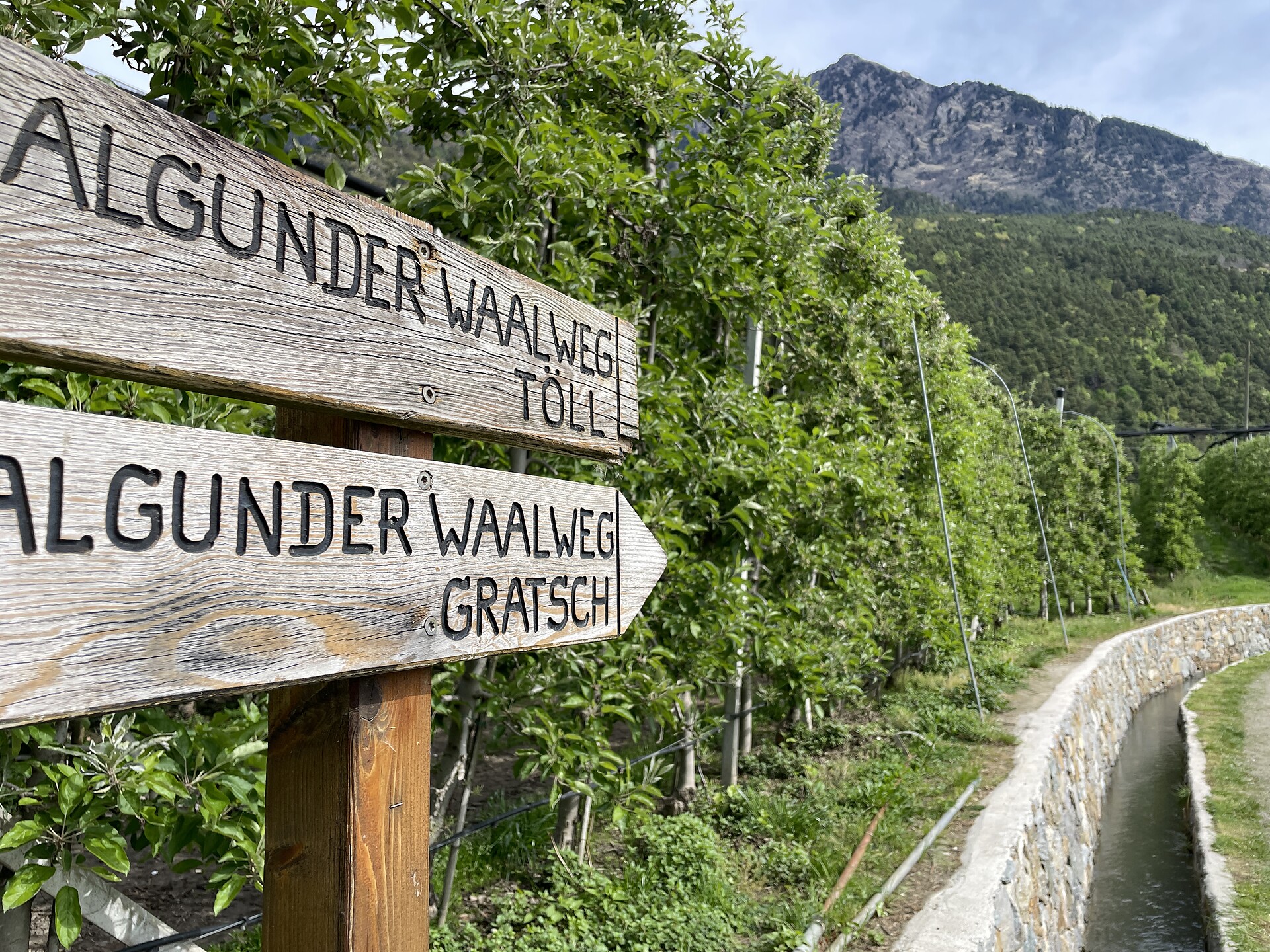 Mittwochs auf Tour: Algunder Waalweg - Dolomitenregion Eggental - #1 - suedtirol.info