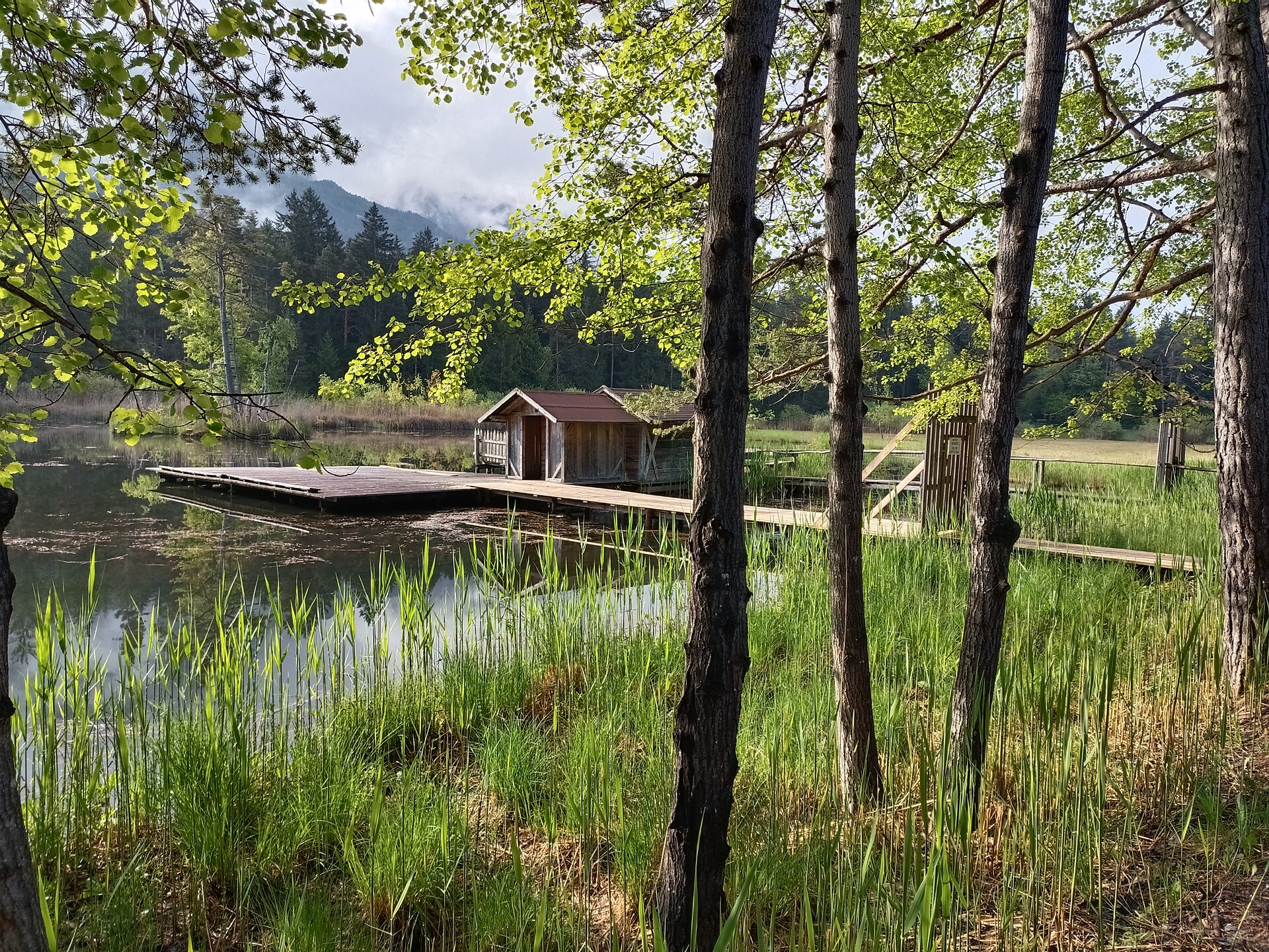 Nature Explorers at the Pond - Dolomites Region Seiser Alm - #2 - suedtirol.info