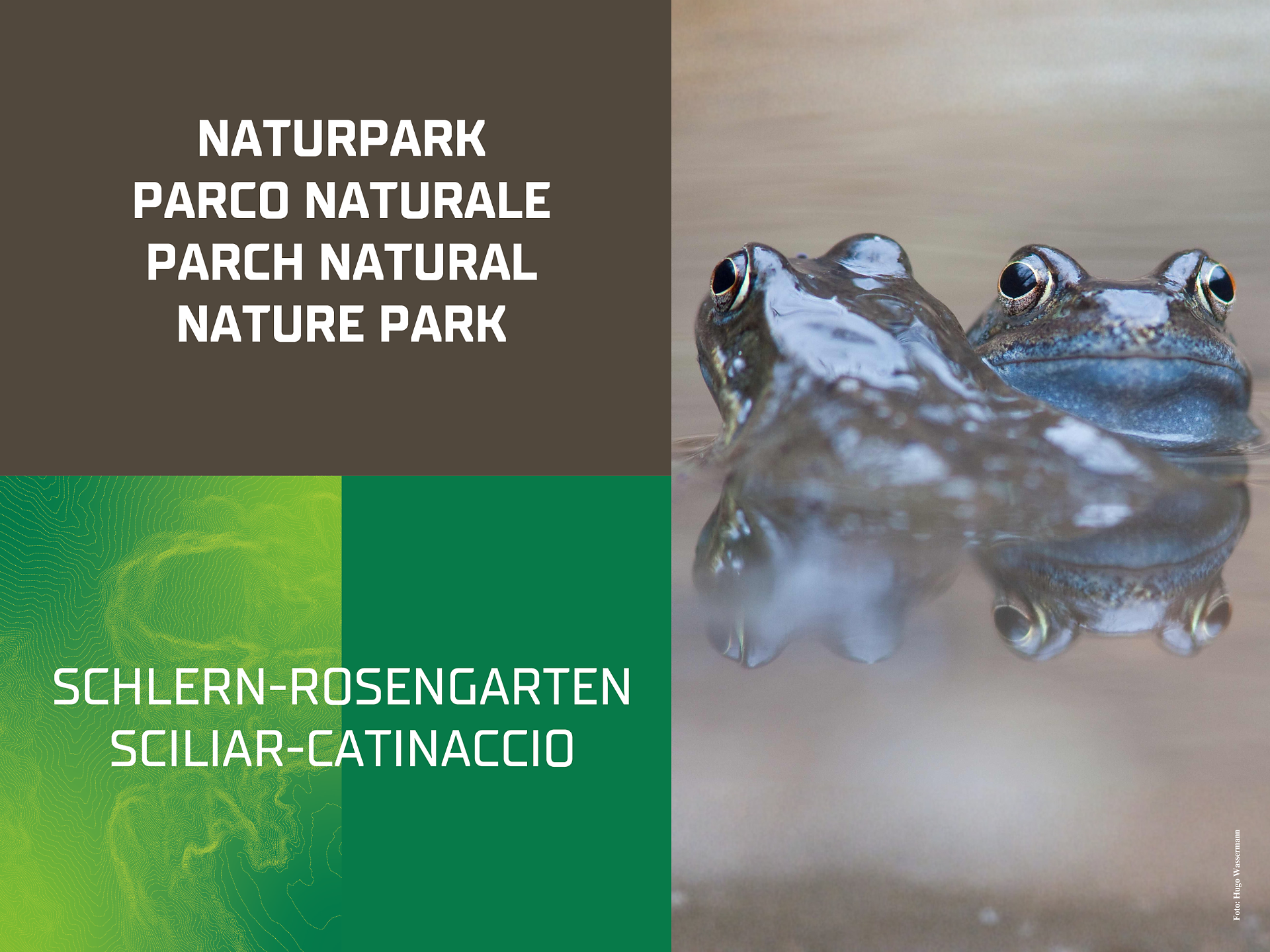Nature Explorers at the Pond - Dolomites Region Seiser Alm - #1 - suedtirol.info