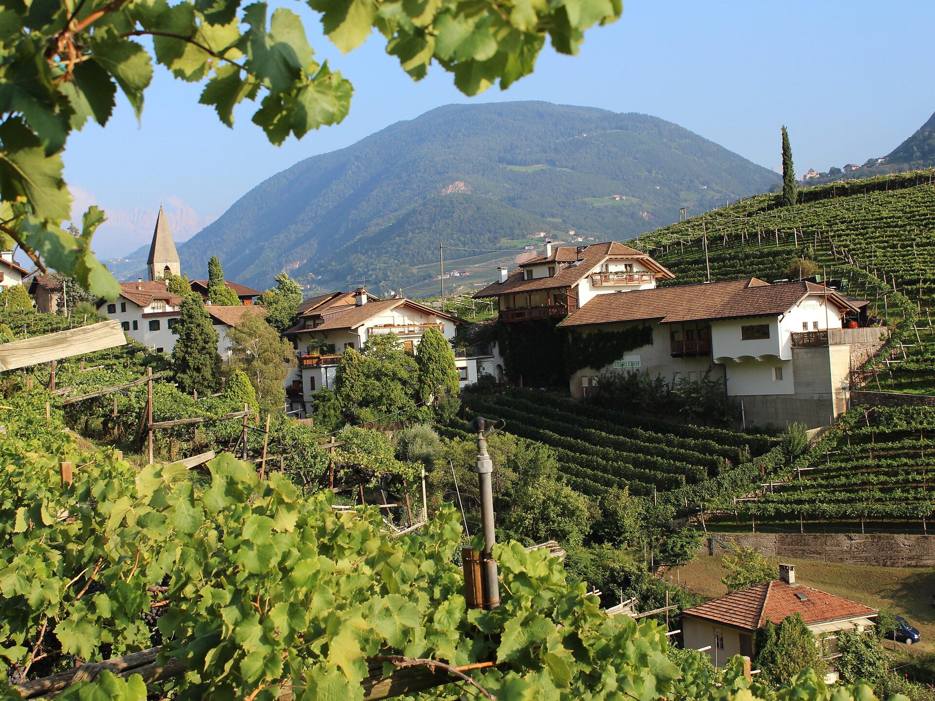 Notte delle cantine alla Tenuta Eberlehof - Bolzano e dintorni - #1 - suedtirol.info