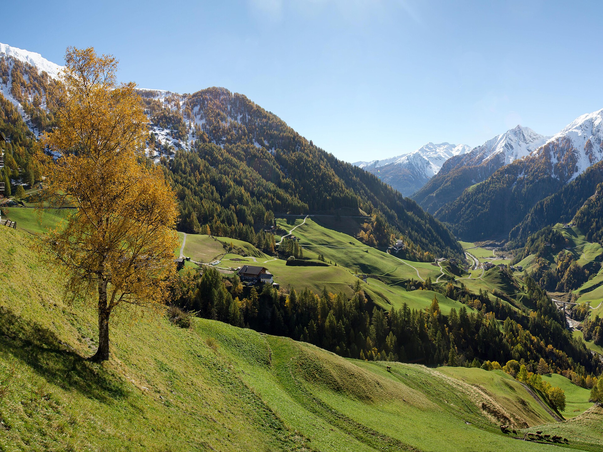 Naturerlebniswanderung im Naturpark Texelgruppe - Meran und Umgebung - #2 - suedtirol.info