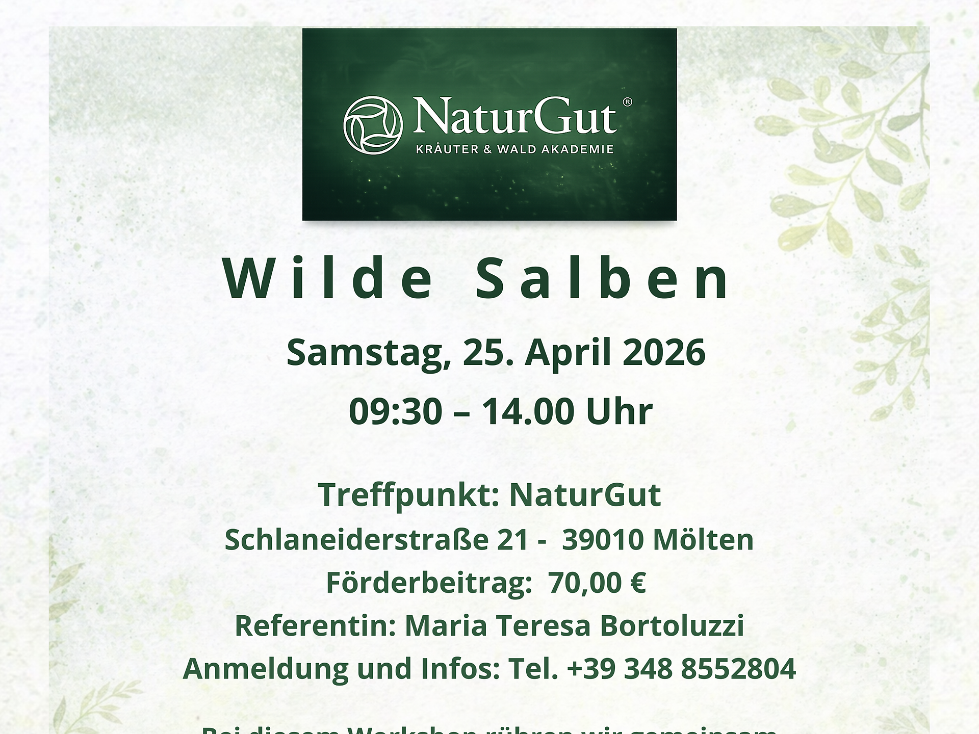 NaturGut - Wilde Salben - Bozen und Umgebung - #1 - suedtirol.info