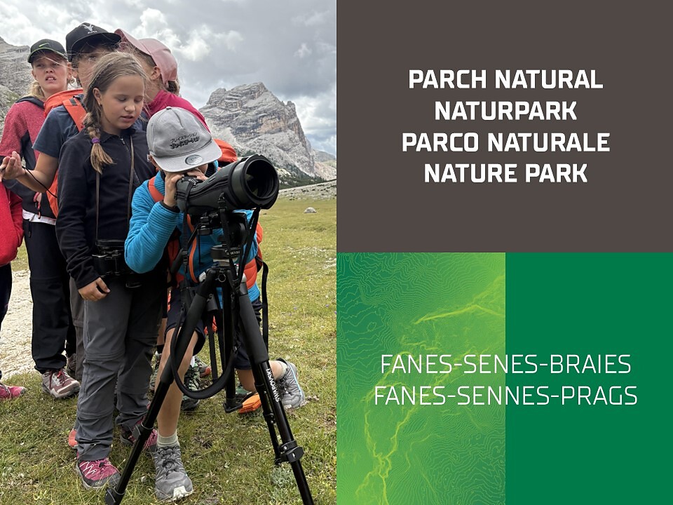 Incontra i guardaparco! – Scopri i nostri Parchi naturali - Regione dolomitica Plan de Corones - #1 - suedtirol.info