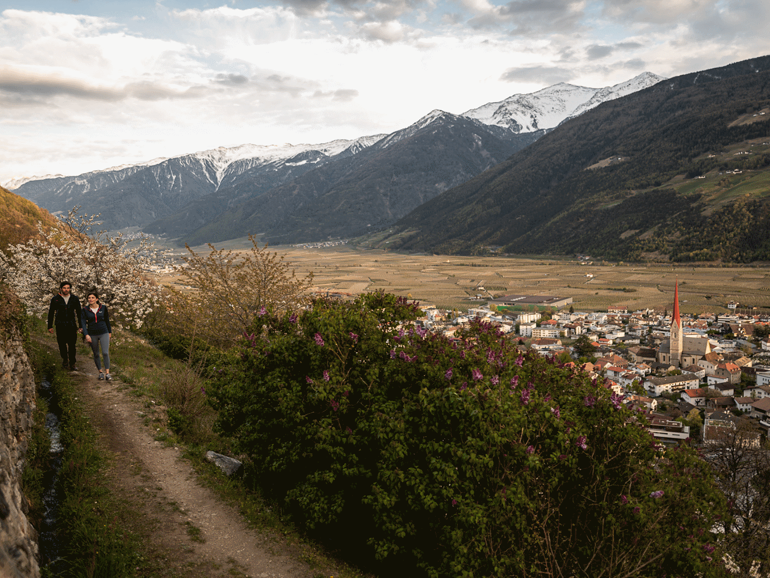 Entdecke die blühende Umgebung von Schlanders und Laas Schlanders 1 suedtirol.info