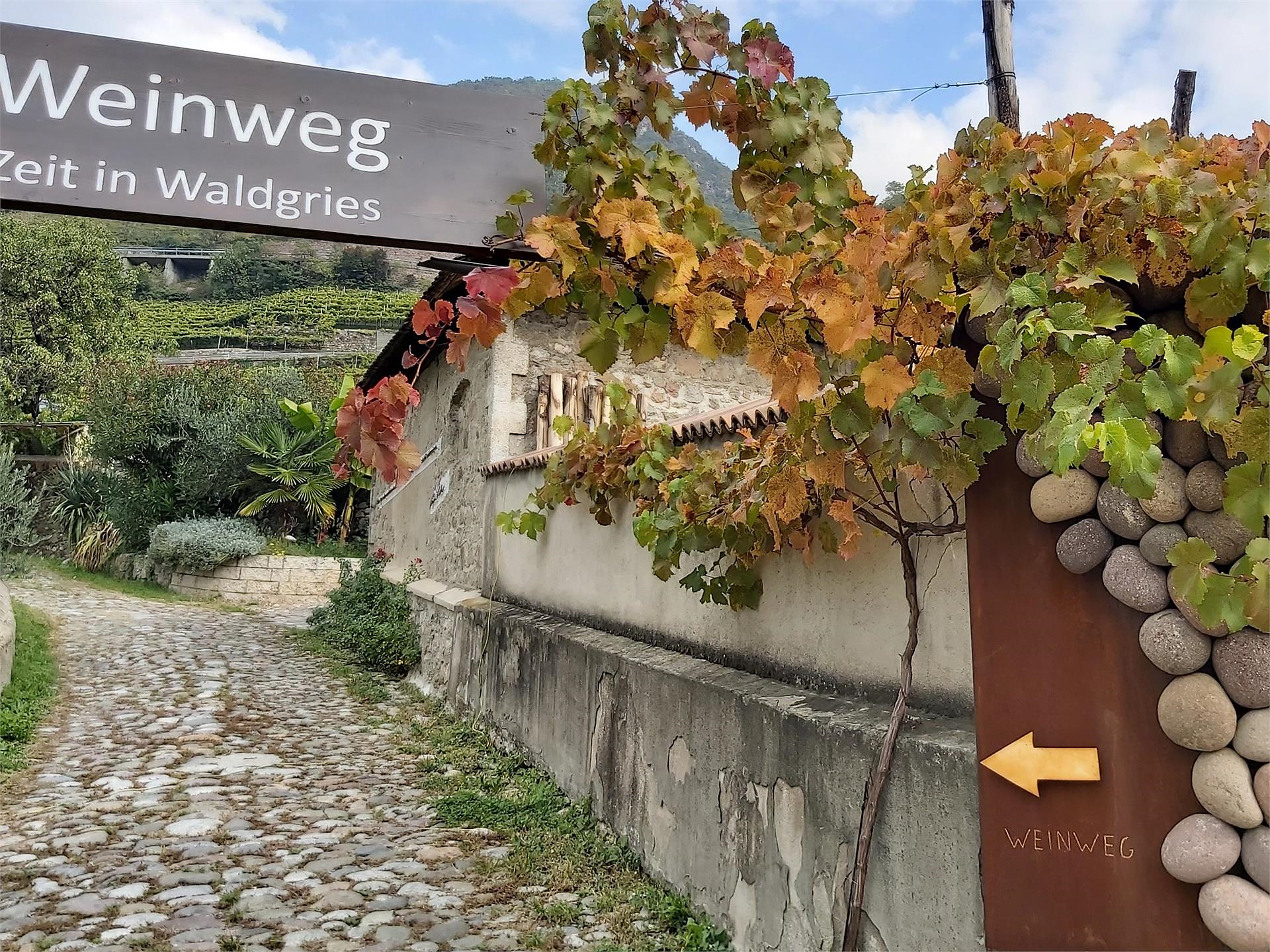 Nacht der Keller 2026 im Ansitz Waldgries - Bozen und Umgebung - #2 - suedtirol.info