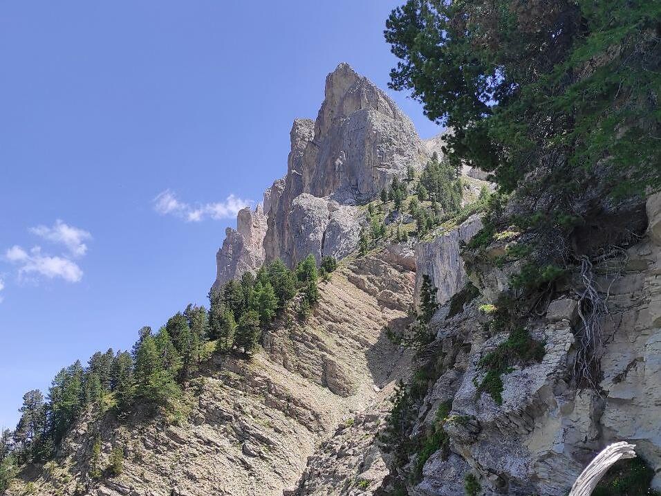 Geführte Wanderung: Zur Sommerweide des Villnösser Brillenschafes - Dolomitenregion Villnösstal - #2 - suedtirol.info