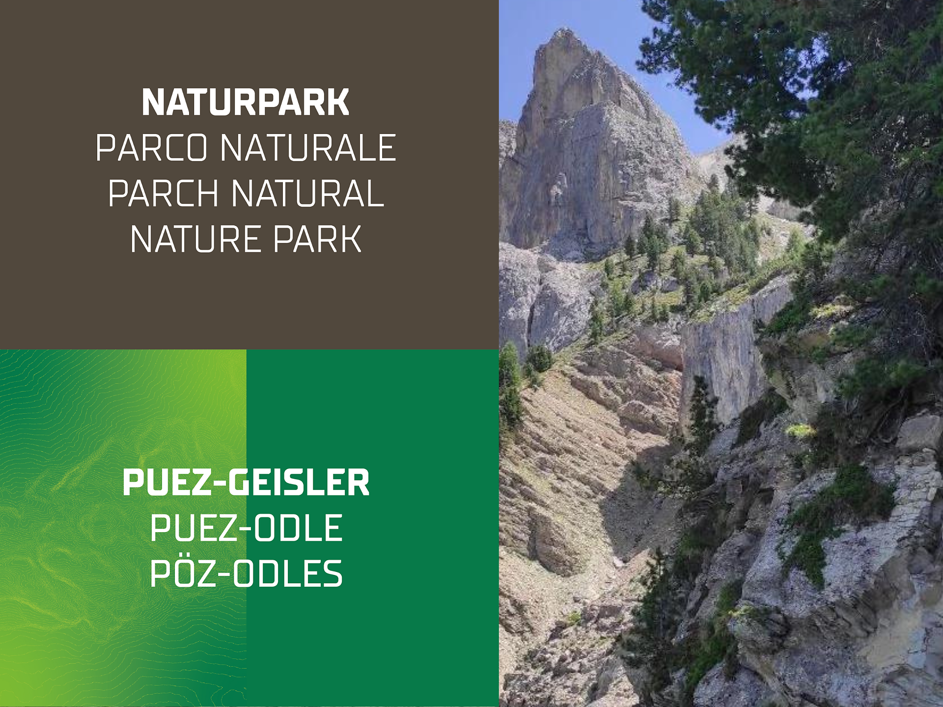 Geführte Wanderung: Zur Sommerweide des Villnösser Brillenschafes Villnöss 1 suedtirol.info
