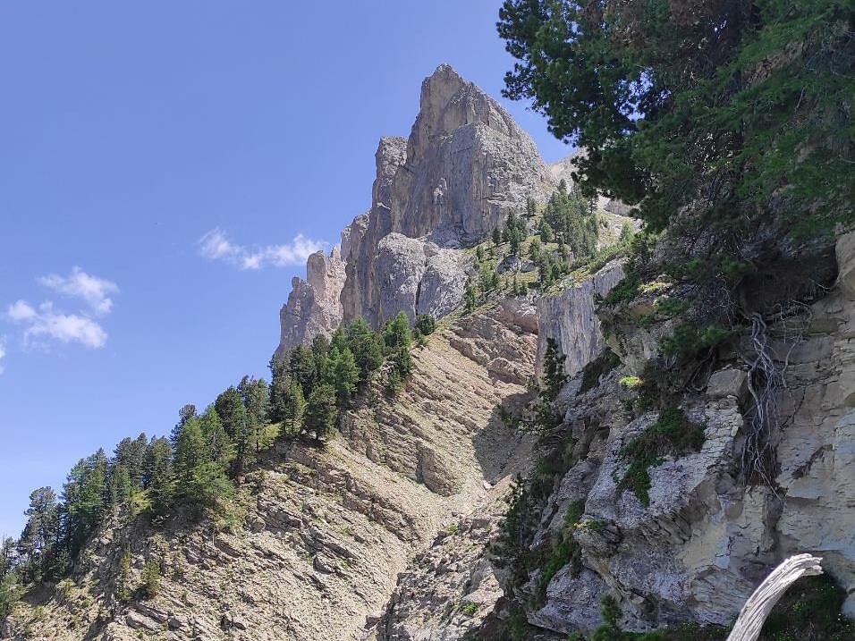 Geführte Wanderung: Zur Sommerweide des Villnösser Brillenschafes Villnöss 2 suedtirol.info