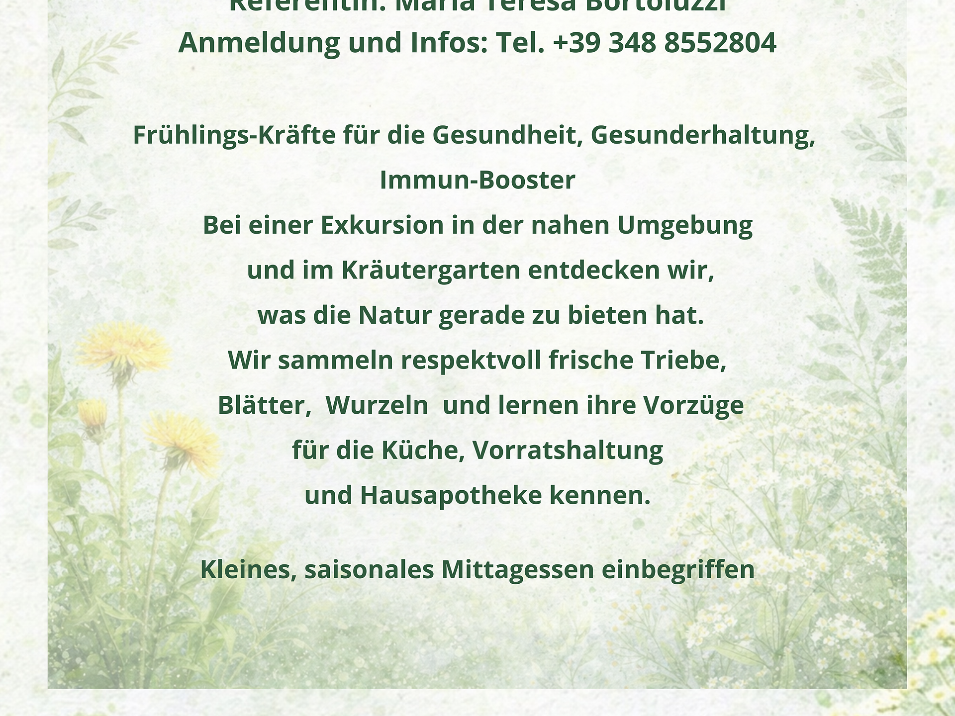 NaturGut - Frühlingskräuter - Bozen und Umgebung - #2 - suedtirol.info