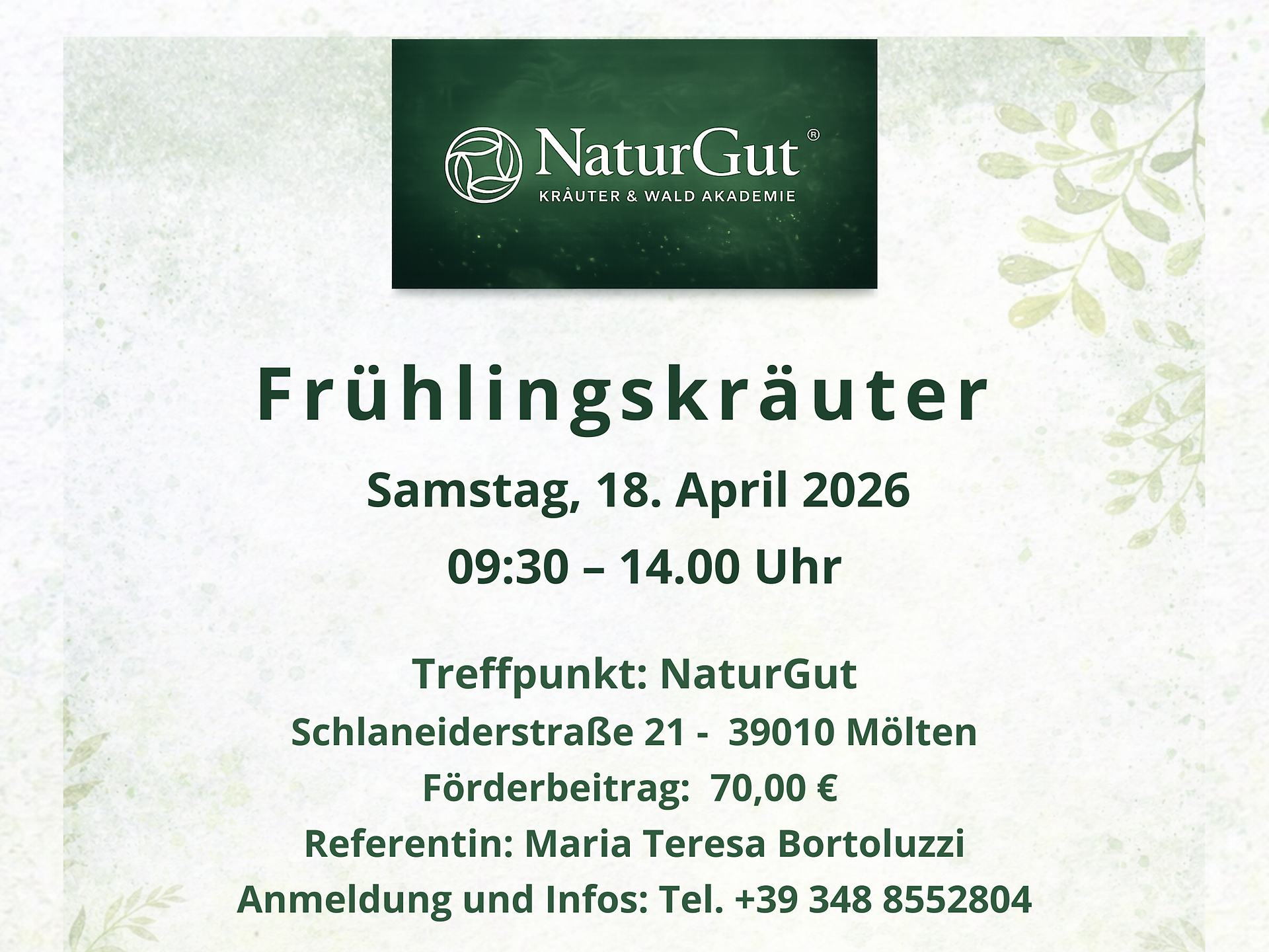 NaturGut - Frühlingskräuter - Bozen und Umgebung - #1 - suedtirol.info