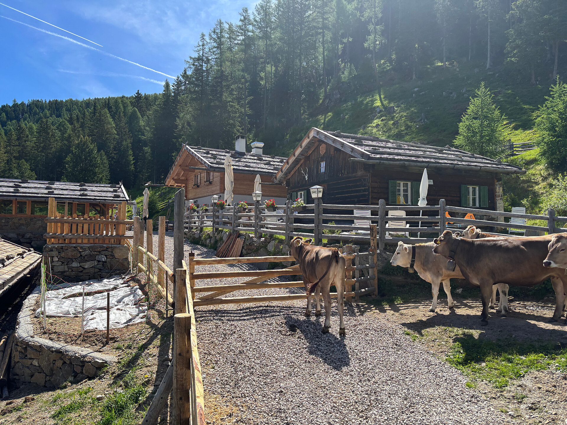 Naturnser Almen unplugged - Meran und Umgebung - #4 - suedtirol.info