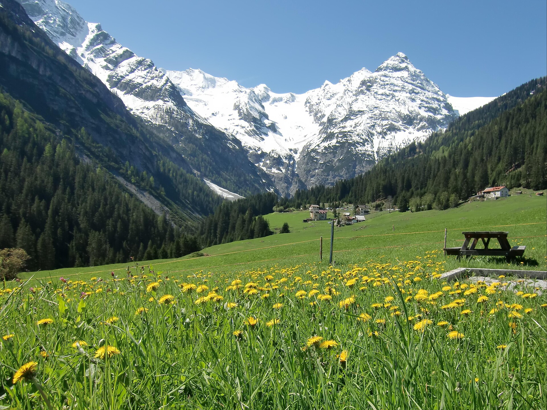Naturwerkstatt Wuschlpuschl ... im Sommer Stilfs 3 suedtirol.info