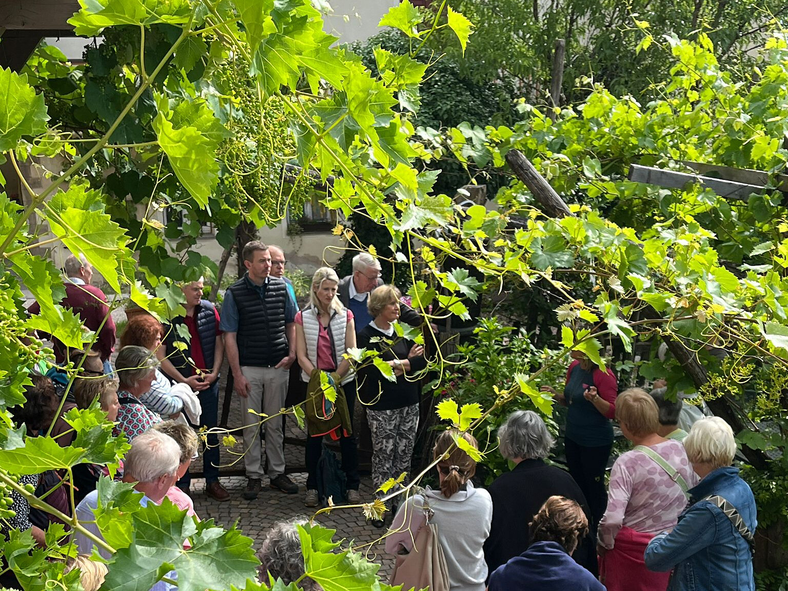 Pomella Natural Wines & Herb Farm – See, smell, taste – with tasting - Alto Adige Wine Road - #5 - suedtirol.info