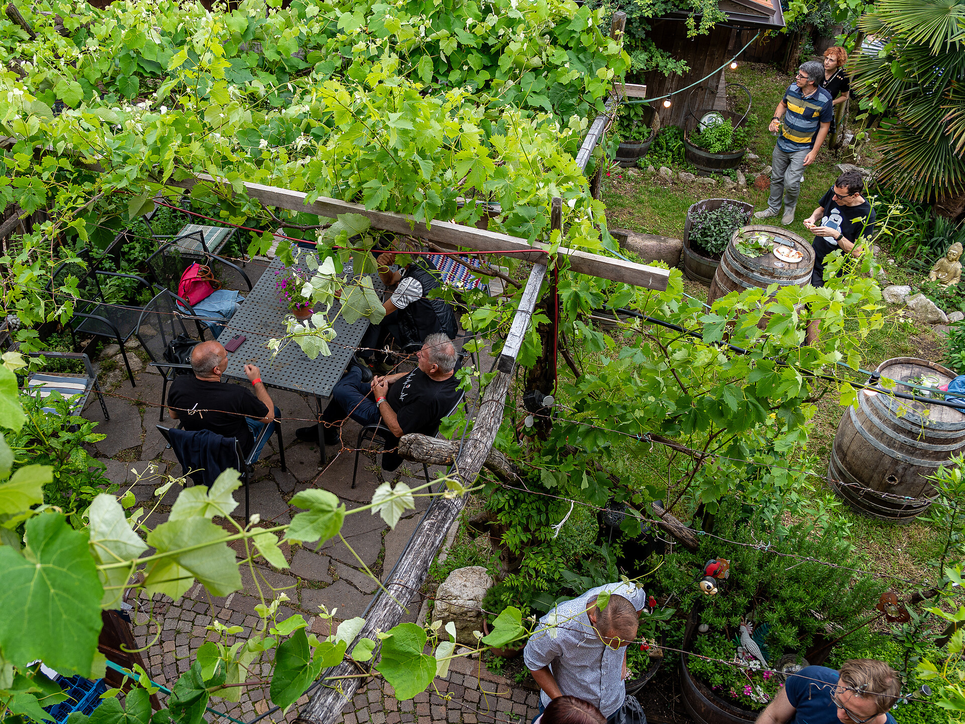 Pomella Natural Wines & Herb Farm – See, smell, taste – with tasting - Alto Adige Wine Road - #7 - suedtirol.info