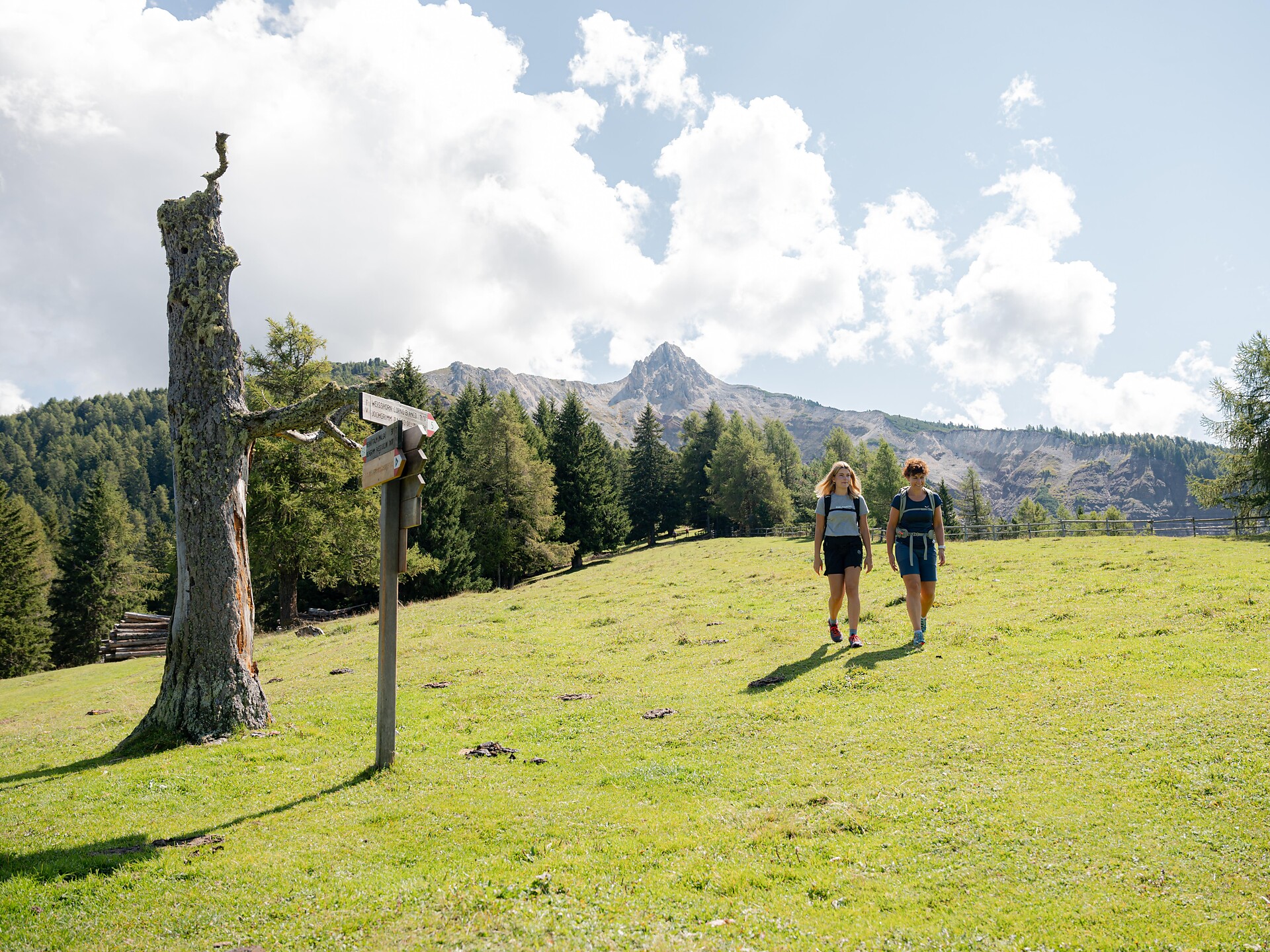 Naturkundliche Wanderung von Oclini Jochgrimm bis Maria Weißenstein - Dolomitenregion Eggental - #1 - suedtirol.info