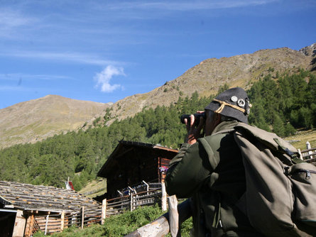 Discover Nature & Experience the Animals Tirol/Tirolo 1 suedtirol.info