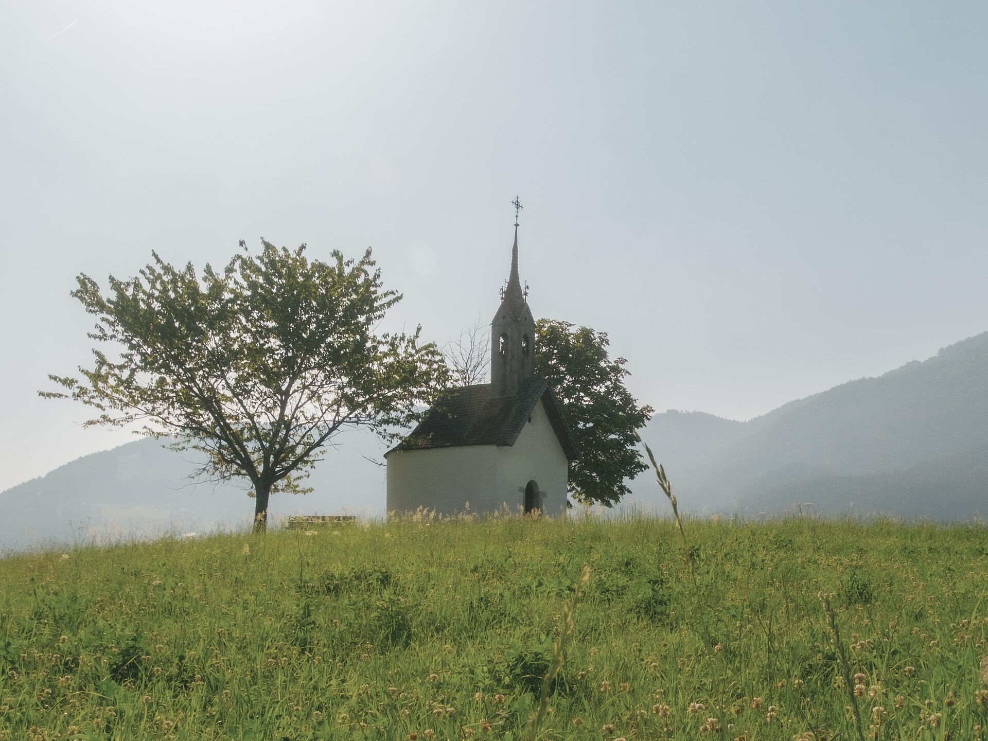 Natura, maso & sapori - Maso Lechnerhof - Regione dolomitica Plan de Corones - #2 - suedtirol.info