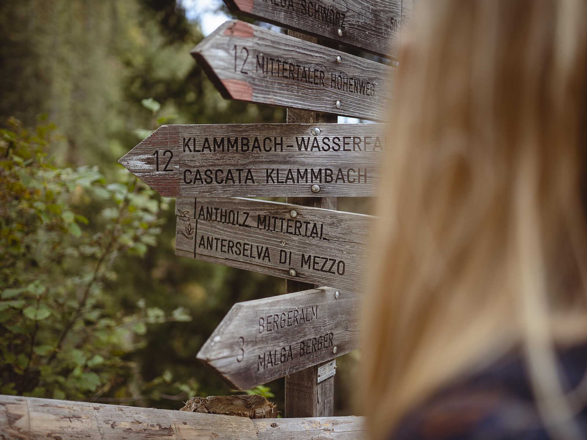 Escursione nel parco naturale con Gilbert | Tema: Il tesoro del Parco Naturale - Regione dolomitica Plan de Corones - #3 - suedtirol.info