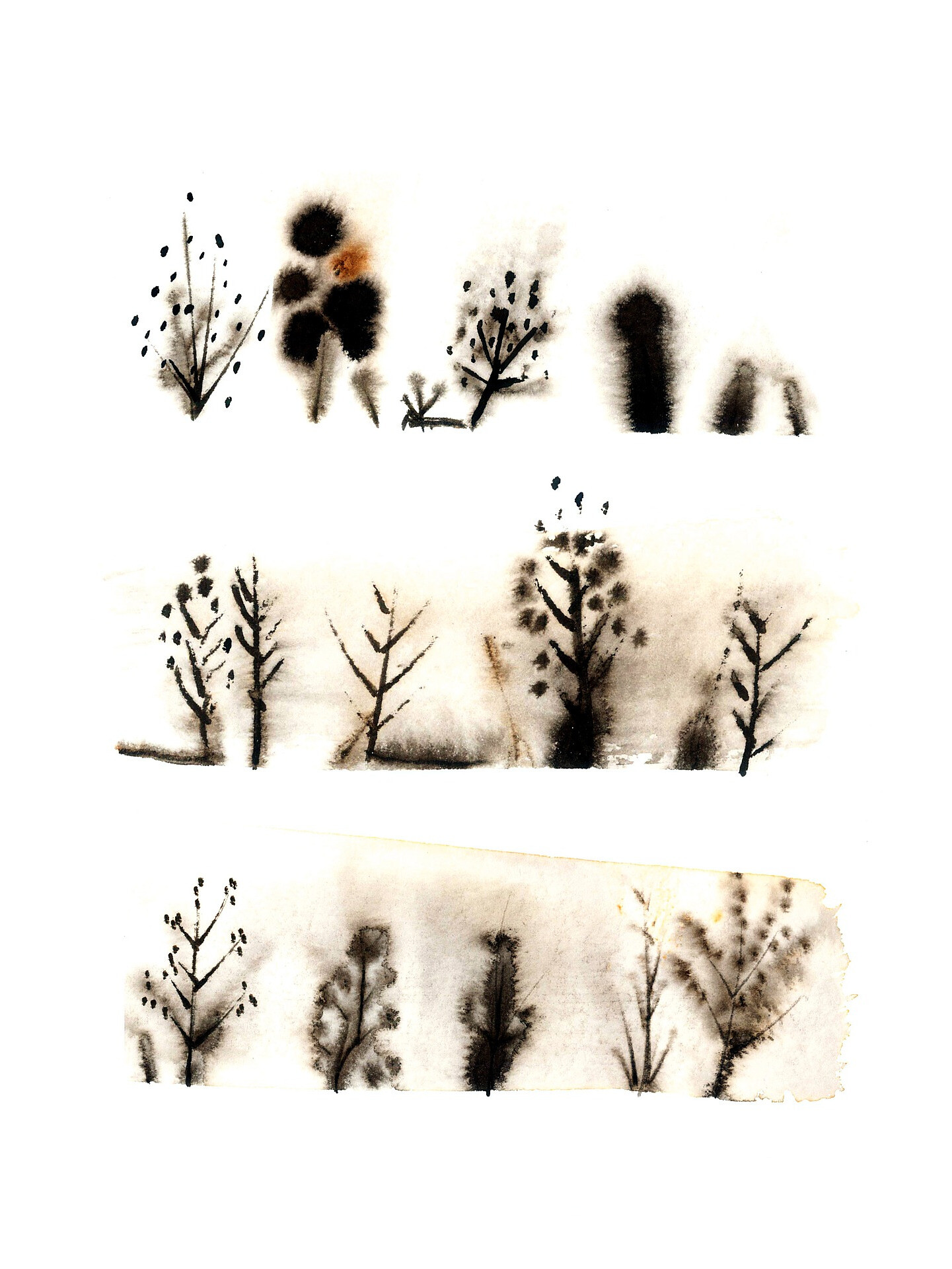 Natur-Atelier: Einzigartige Karten kunstvoll bedruckt - Meran und Umgebung - #1 - suedtirol.info