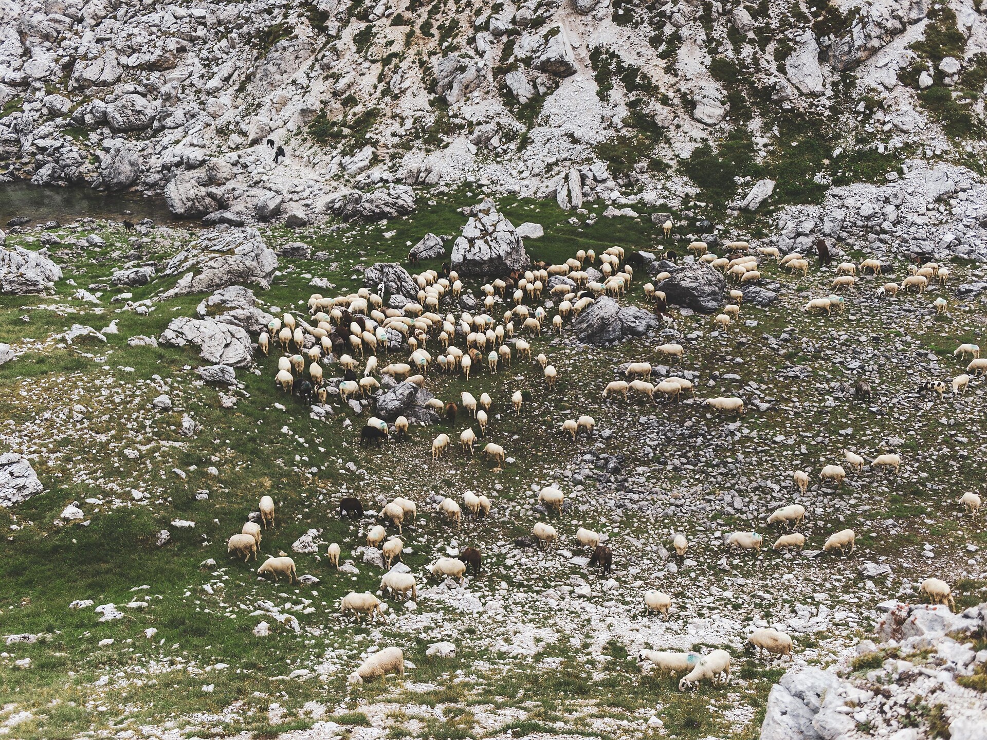 Nos Ladins - Vita d'alpeggio - Regione dolomitica Alta Badia - #1 - suedtirol.info