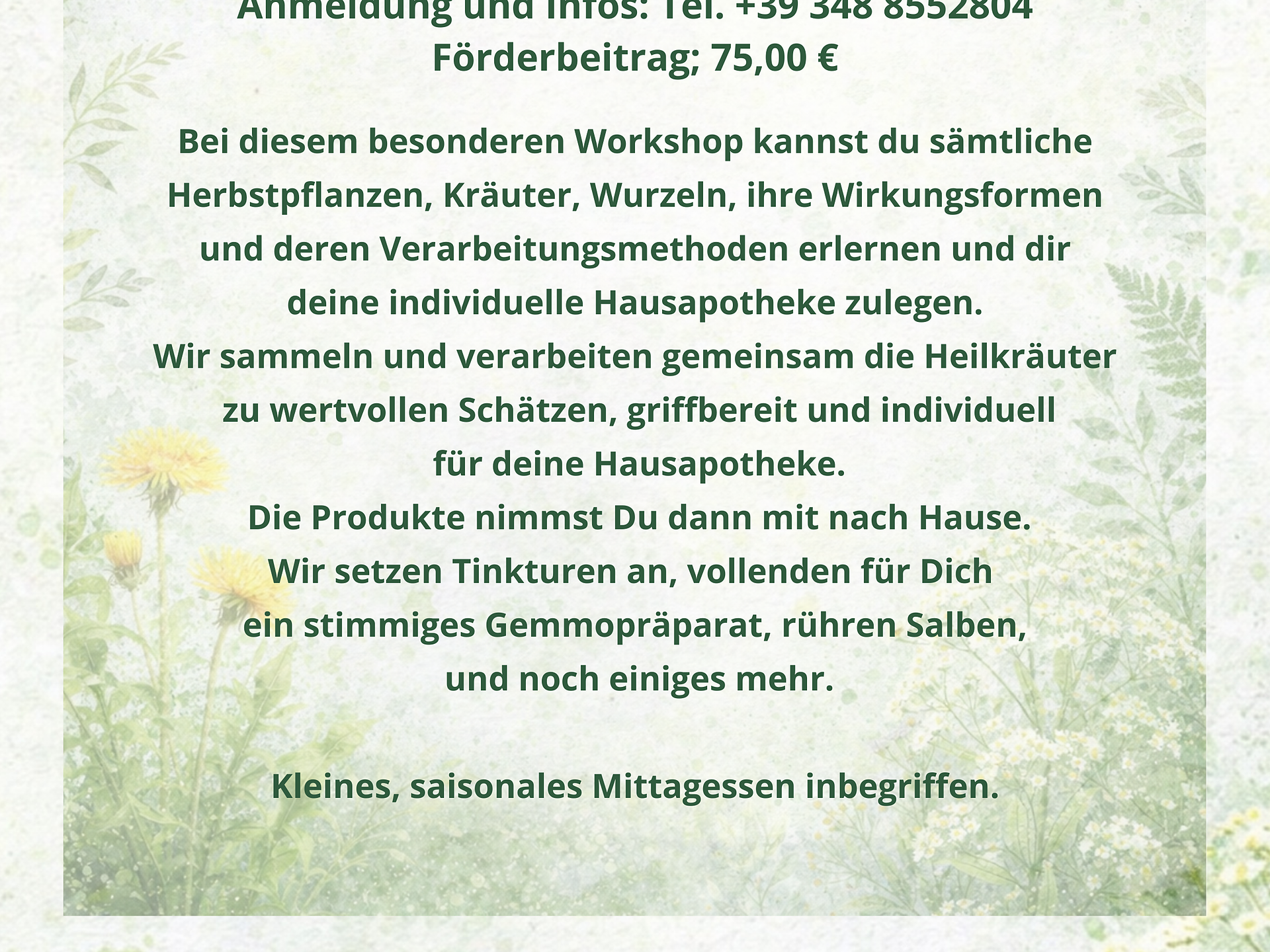 NaturGut - Farmacia domestica per l'autunno e l'inverno per tutta la famiglia - Bolzano e dintorni - #2 - suedtirol.info