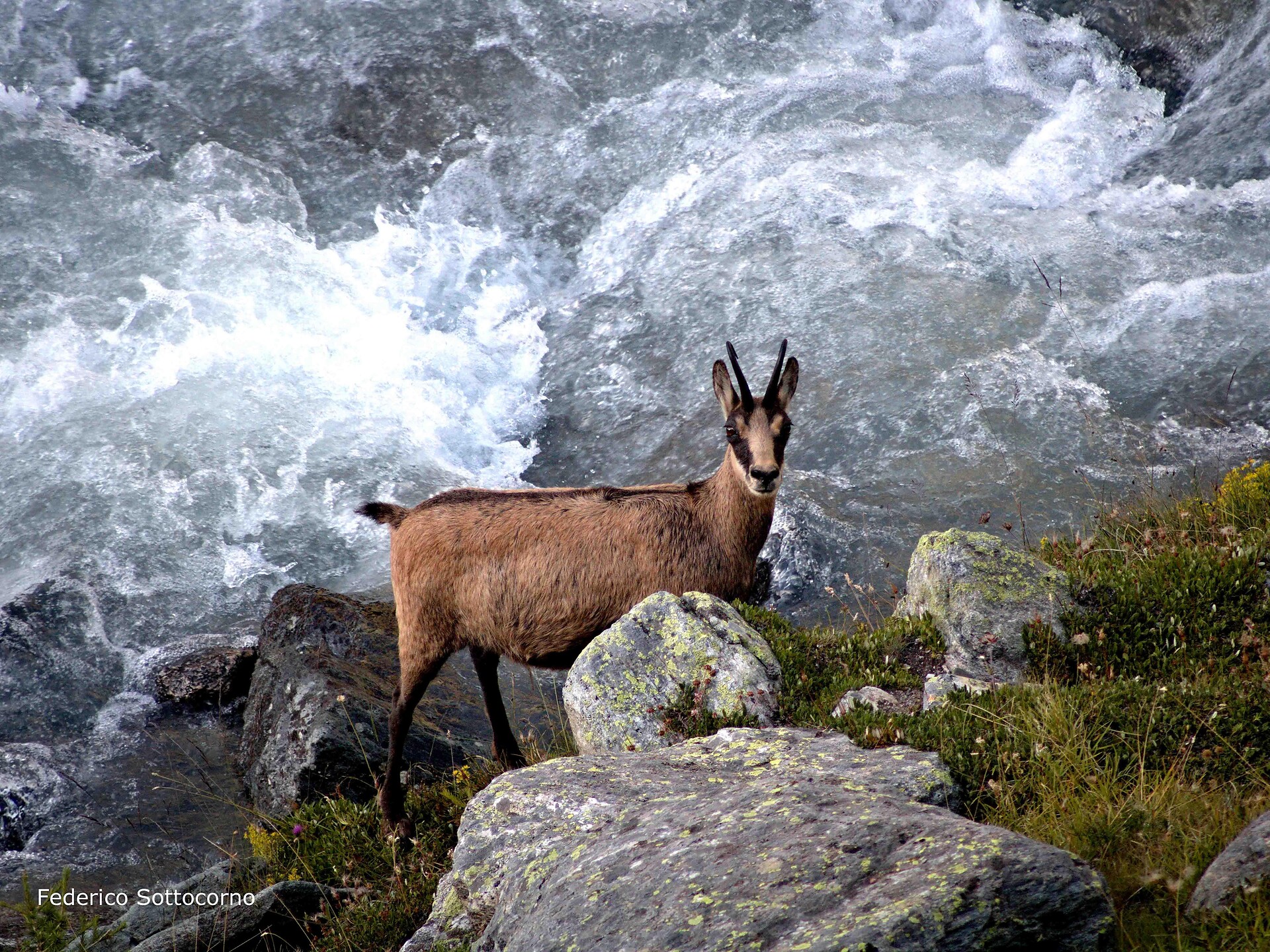 Natura selvaggia nel Parco Nazionale Ultimo 1 suedtirol.info