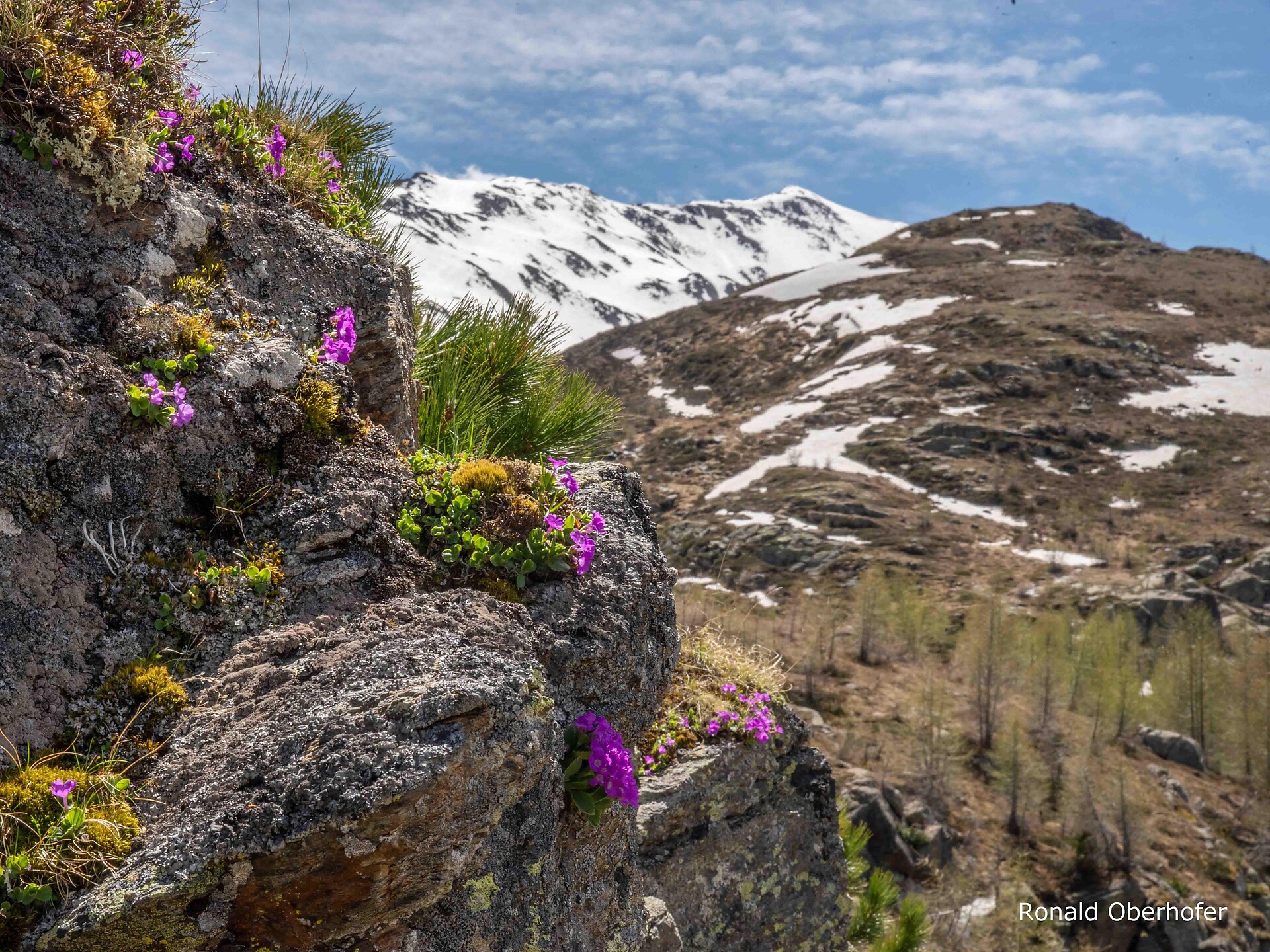 Natura selvaggia nel Parco Nazionale Ultimo 3 suedtirol.info