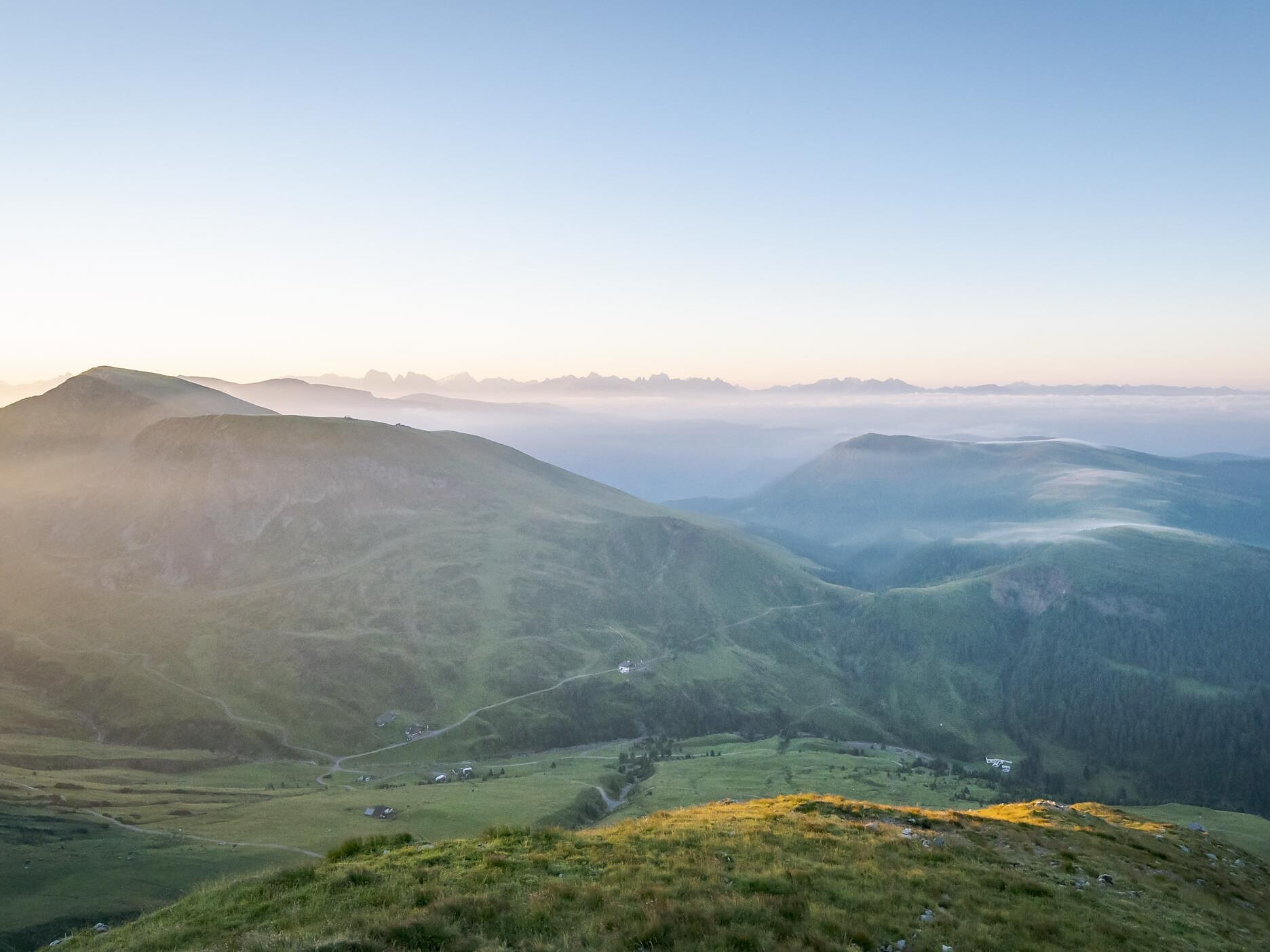 Rugiada di montagna: Escursione con Elisabeth Unterthurner Scena 2 suedtirol.info