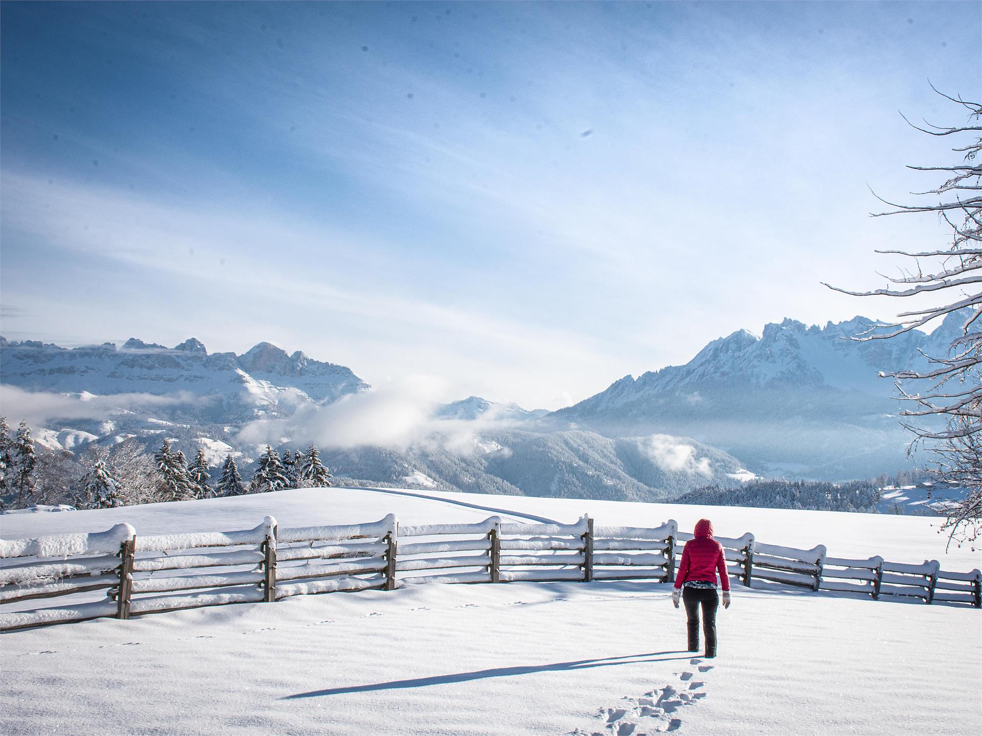 Discovery hike in winter Deutschnofen/Nova Ponente 2 suedtirol.info