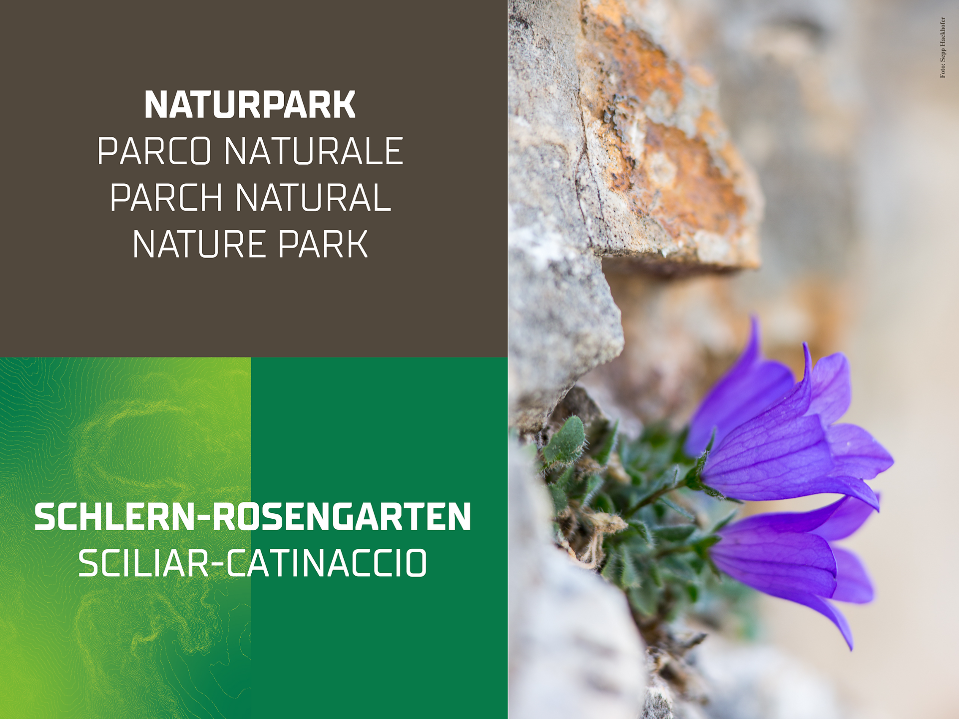 Natura in tutti i sensi! Passeggiata per famiglie - Regione dolomitica Alpe di Siusi - #1 - suedtirol.info