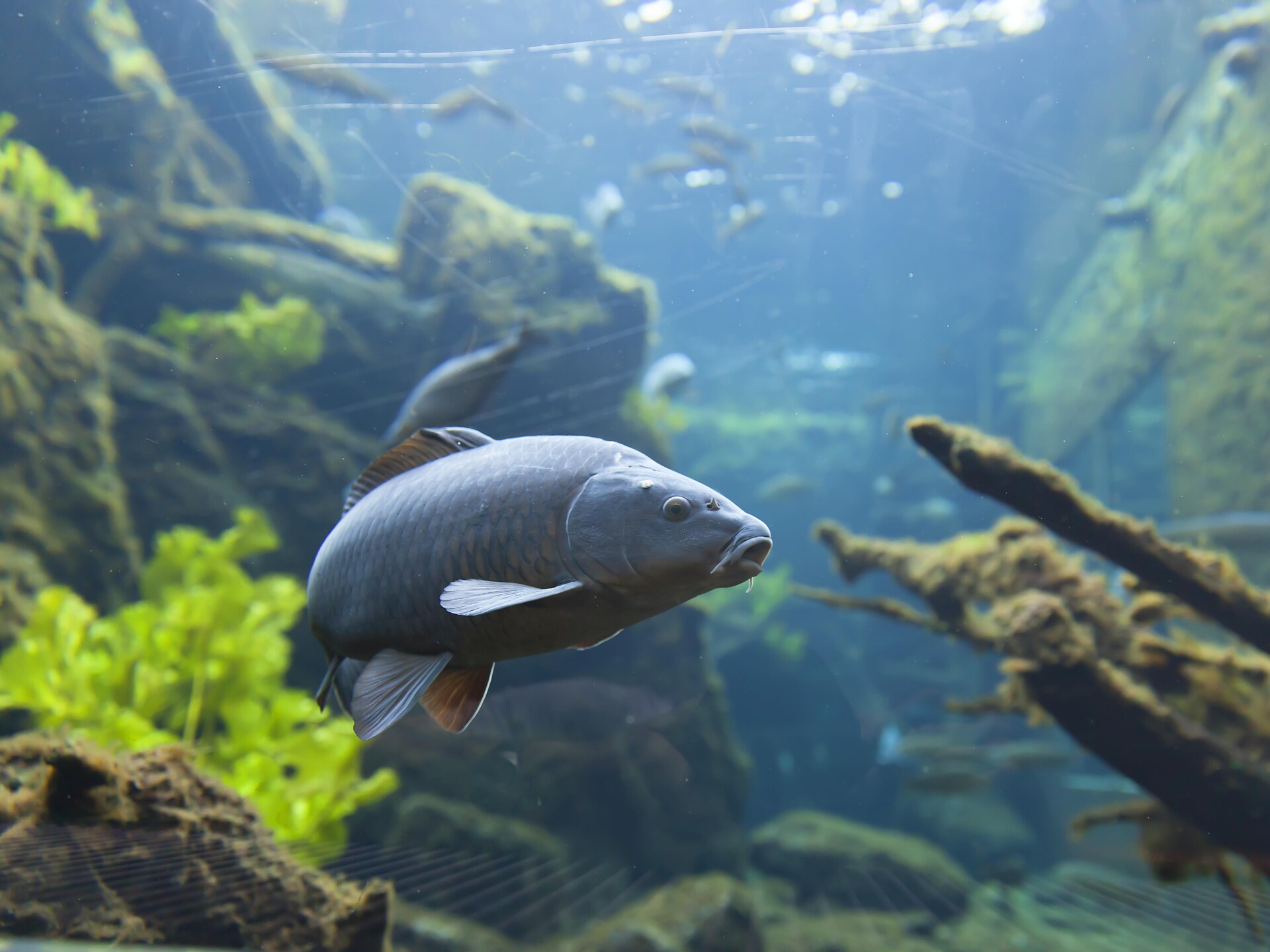 Natur entdecken im Besucherzentrum aquaprad - Vinschgau - #2 - suedtirol.info