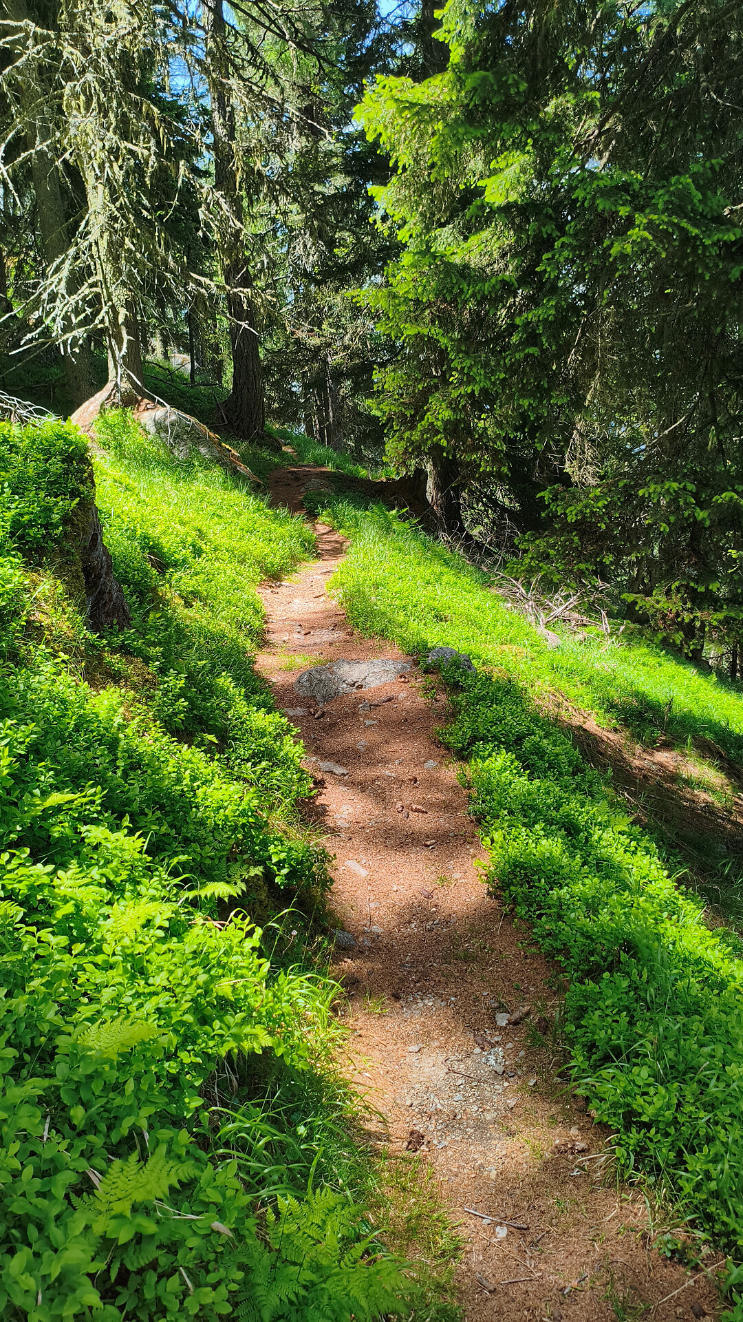 Naturnser Almen unplugged - Meran und Umgebung - #2 - suedtirol.info