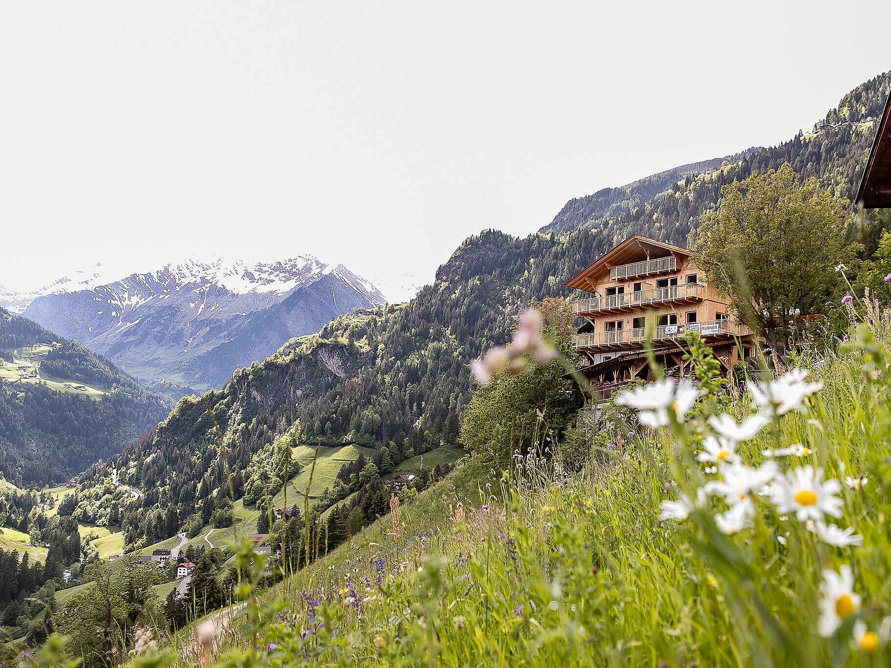 Experience Niedersteinhof (Psairer Langis) - Meran/Merano and environs - #1 - suedtirol.info