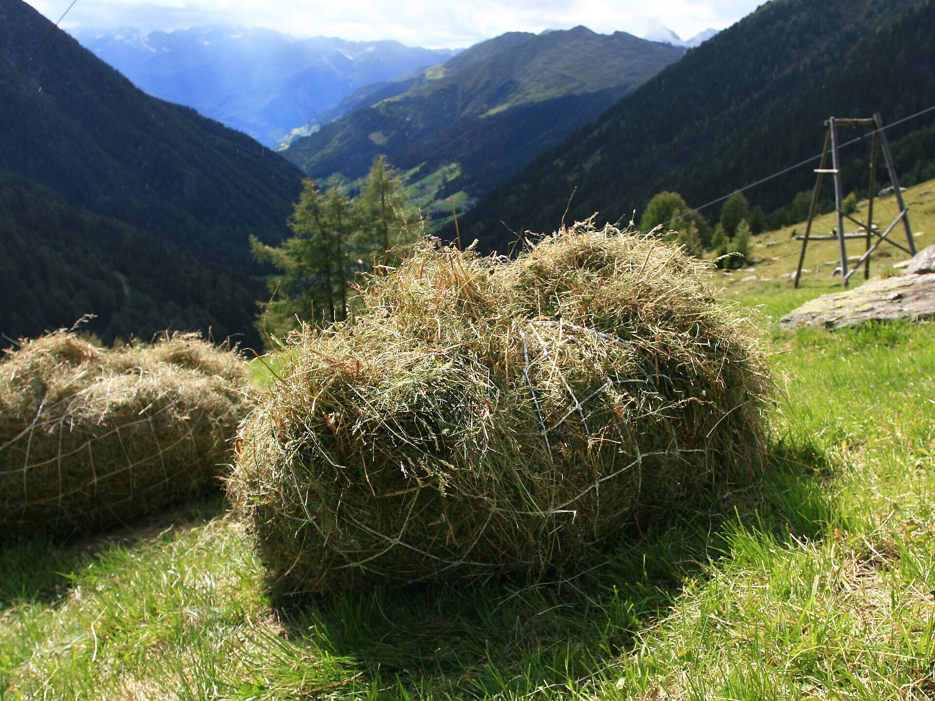 Experience Niedersteinhof (Psairer Langis) - Meran/Merano and environs - #3 - suedtirol.info