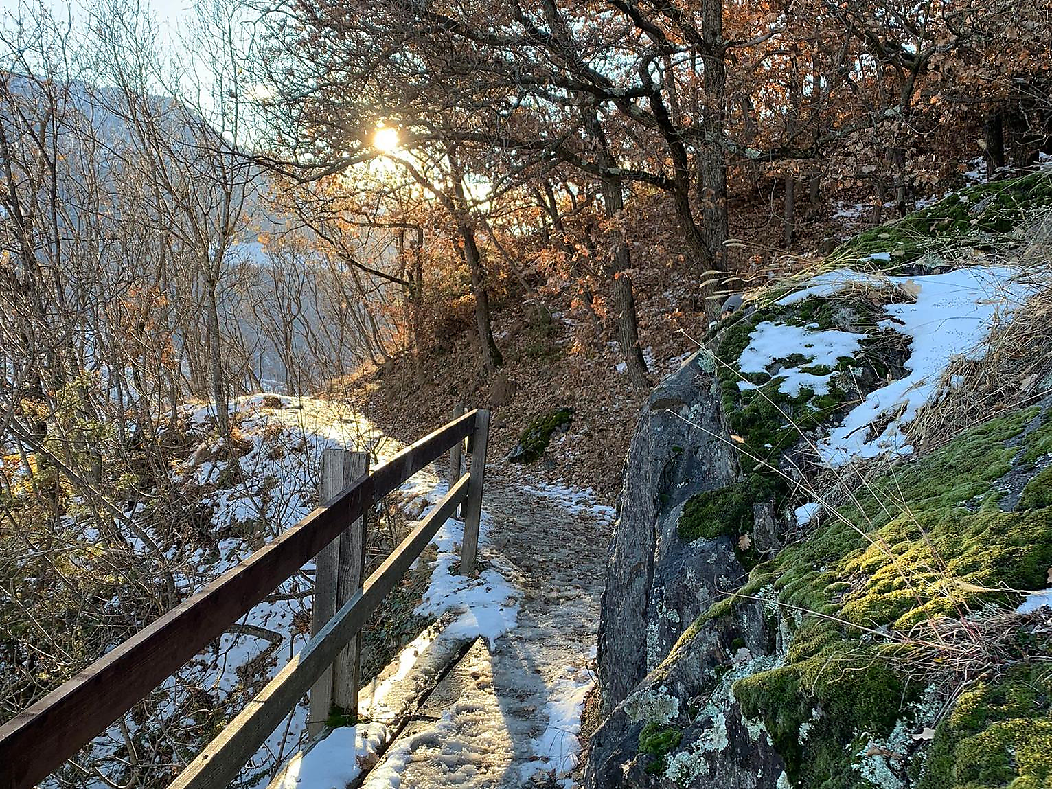 Naturnser Winterwanderung - Meran und Umgebung - #1 - suedtirol.info
