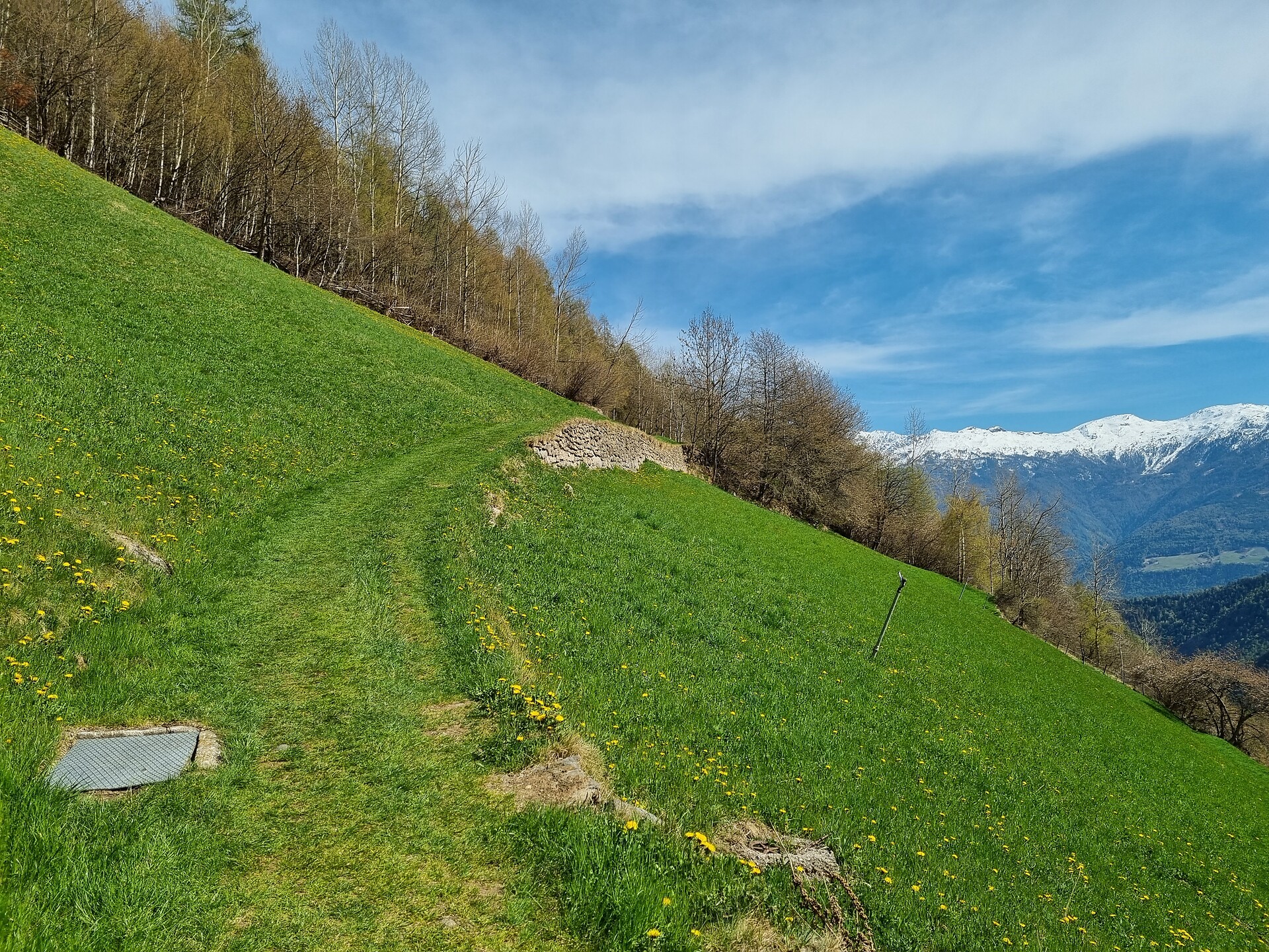 50 Jahre Naturpark Texelgruppe–Am Meraner Höhenweg-Katharinaberg bis Unterstell - Vinschgau - #2 - suedtirol.info