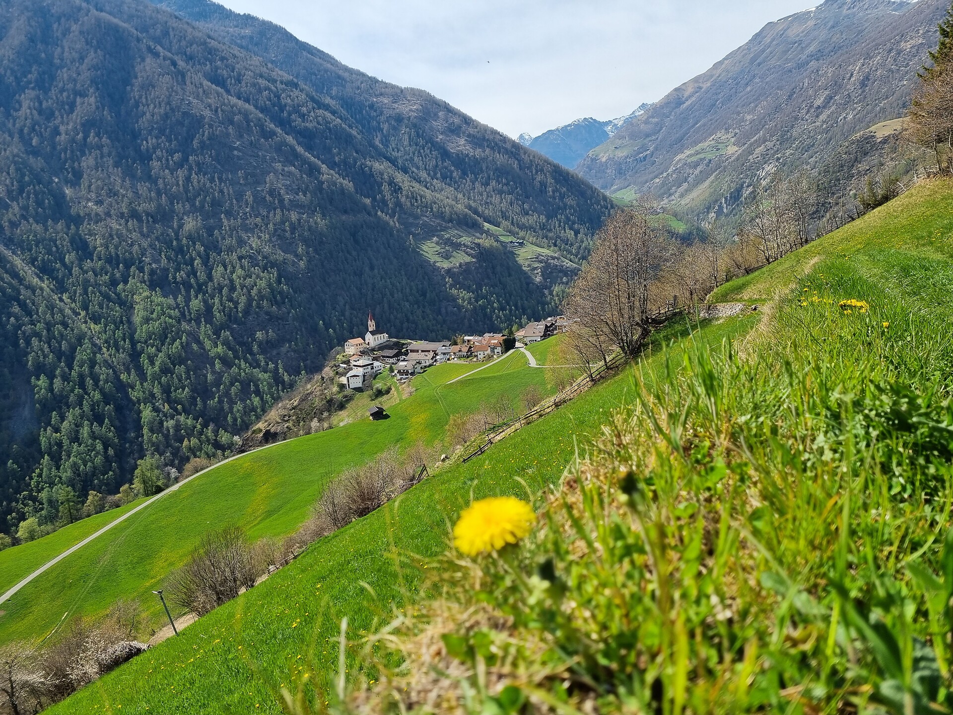 50 Jahre Naturpark Texelgruppe–Am Meraner Höhenweg-Katharinaberg bis Unterstell - Vinschgau - #3 - suedtirol.info