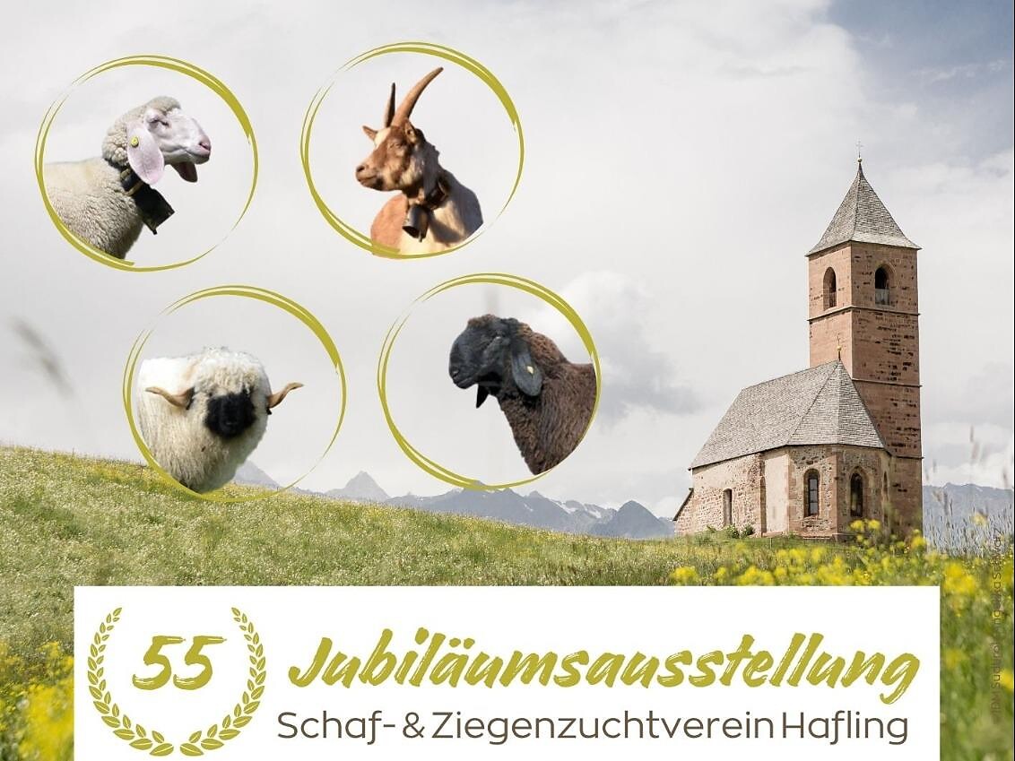 Mostra per l'anniversario dell'Associazione per l'allevamento di pecore e capre - Merano e dintorni - #1 - suedtirol.info