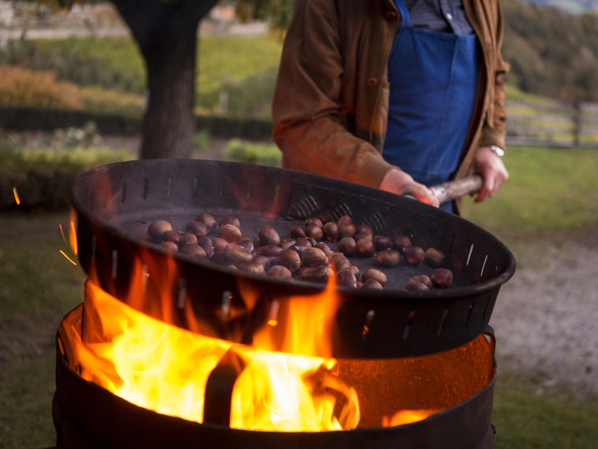 29° Settimane delle Castagne: Esperienza castagne - Bressanone e dintorni - #1 - suedtirol.info